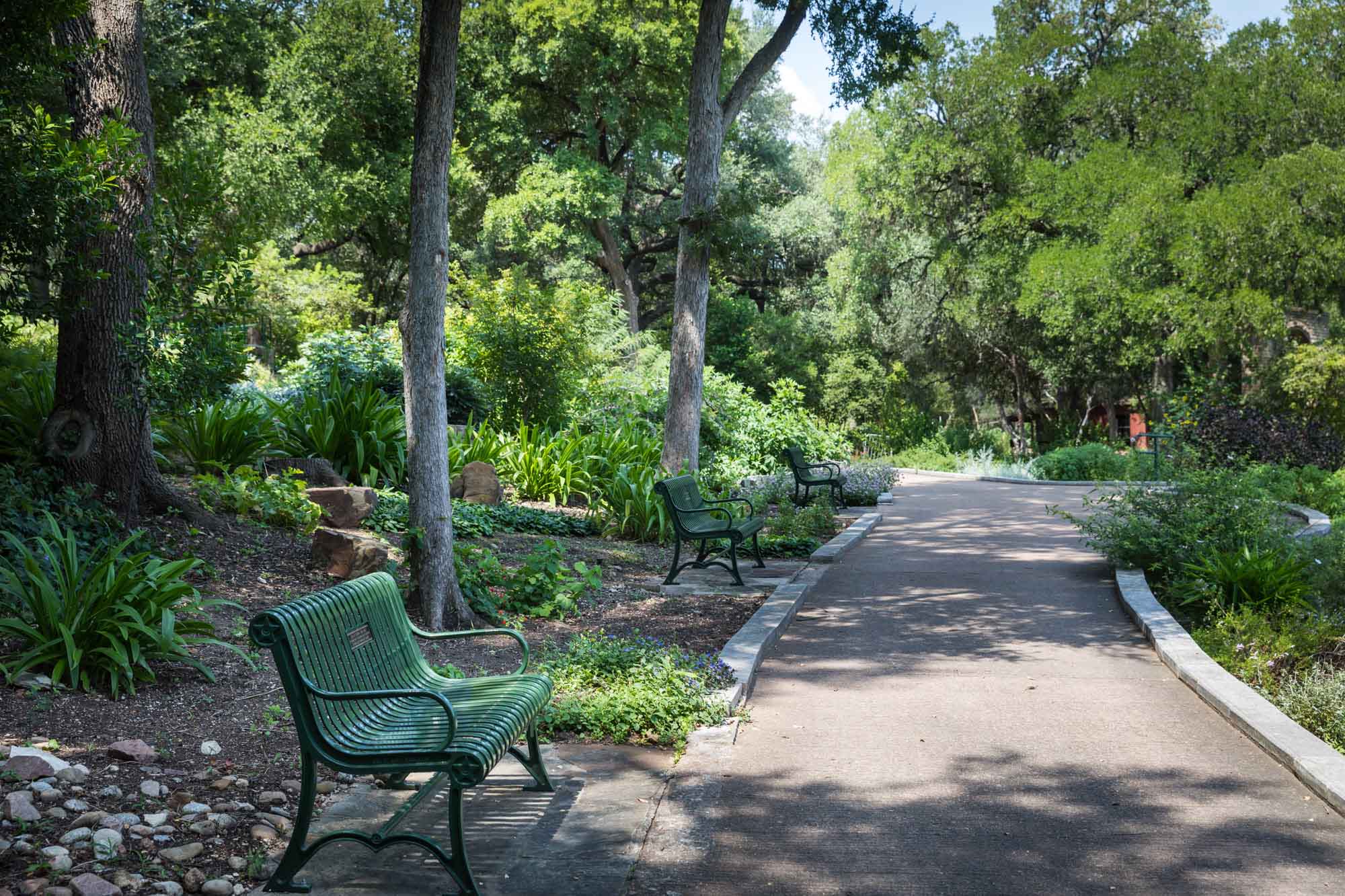 Pathways and green benches of herb garden for an article on the best Zilker Botanical Garden photo locations