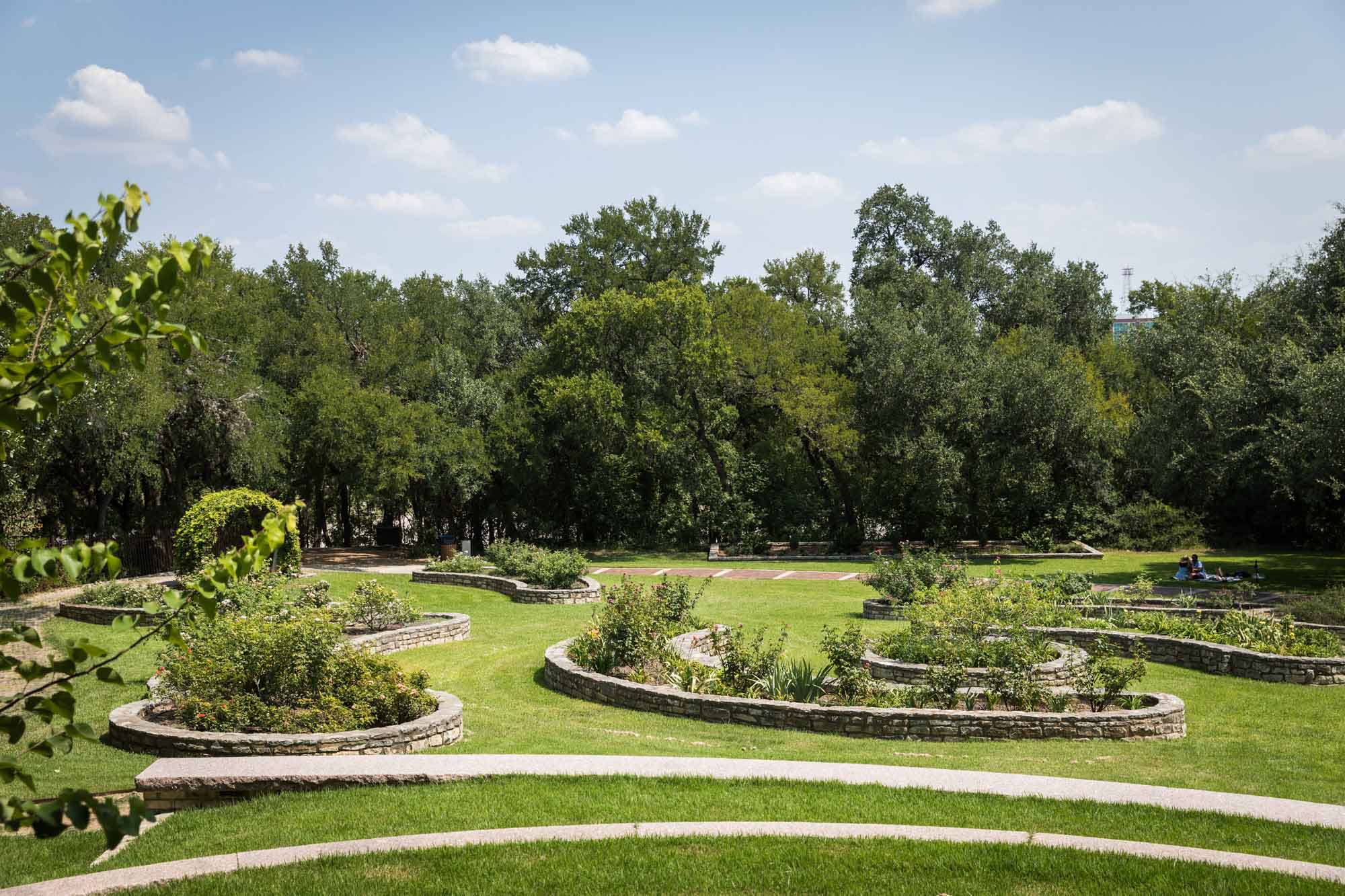 Wide view of Mabel Davis Rose Garden with flower beds for an article on the best Zilker Botanical Garden photo locations