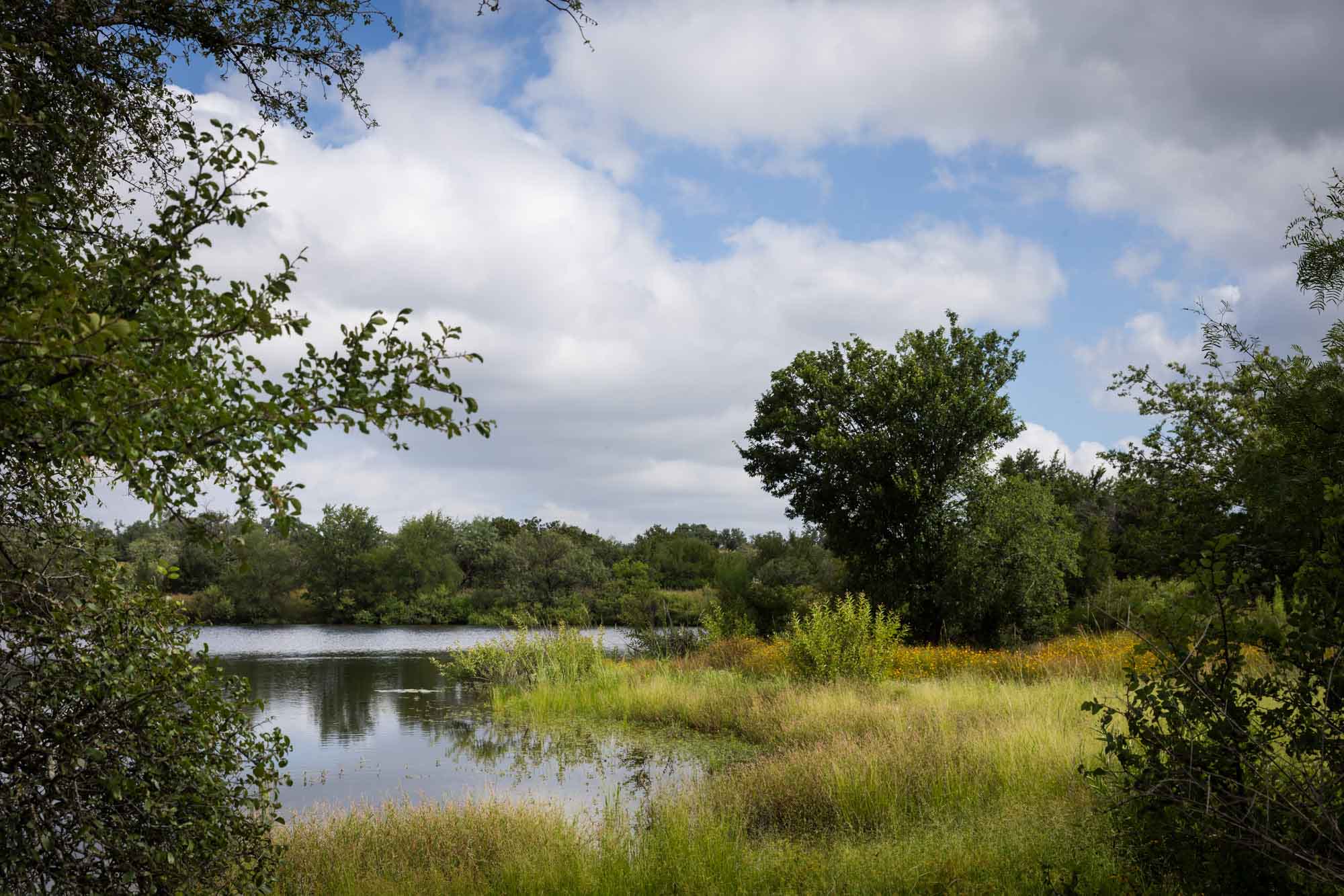 Lake, trees, and bushes at Enchanted Rock trail for an article on the best places to propose in Austin