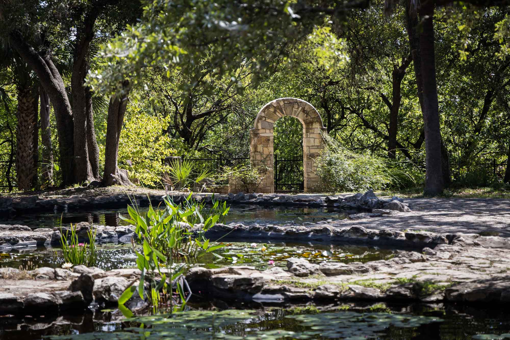 Water lily garden with stone arch in background at Mayfield Park for an article on the best places to propose in Austin