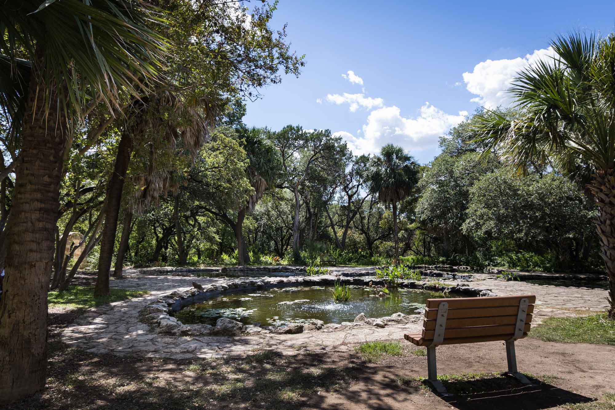 Bench in front of water lily pond at the Mayfield Park for an article on the best places to propose in Austin