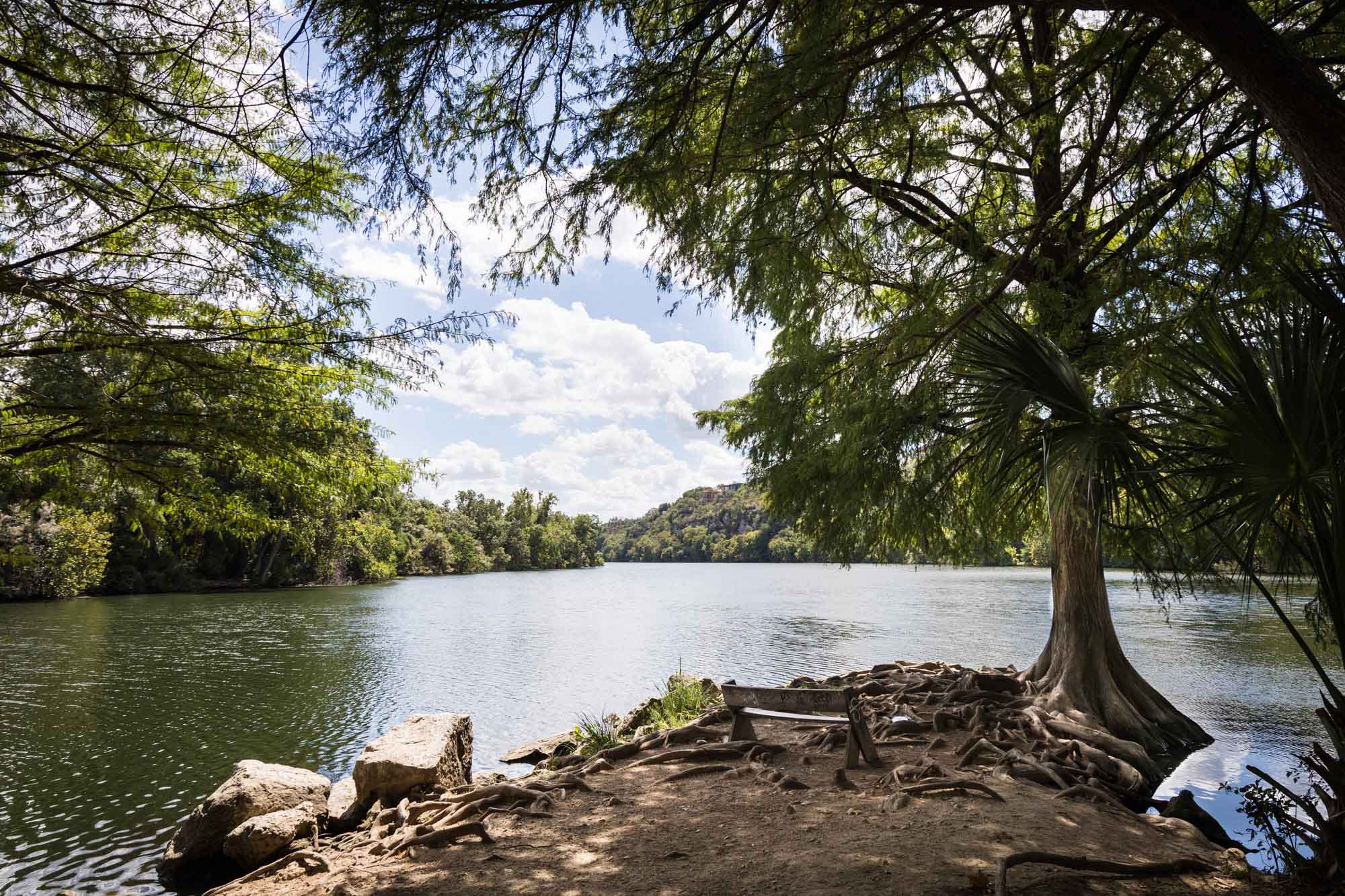 End of Red Bud Isle with bench, tree, and stones for an article on the best places to propose in Austin