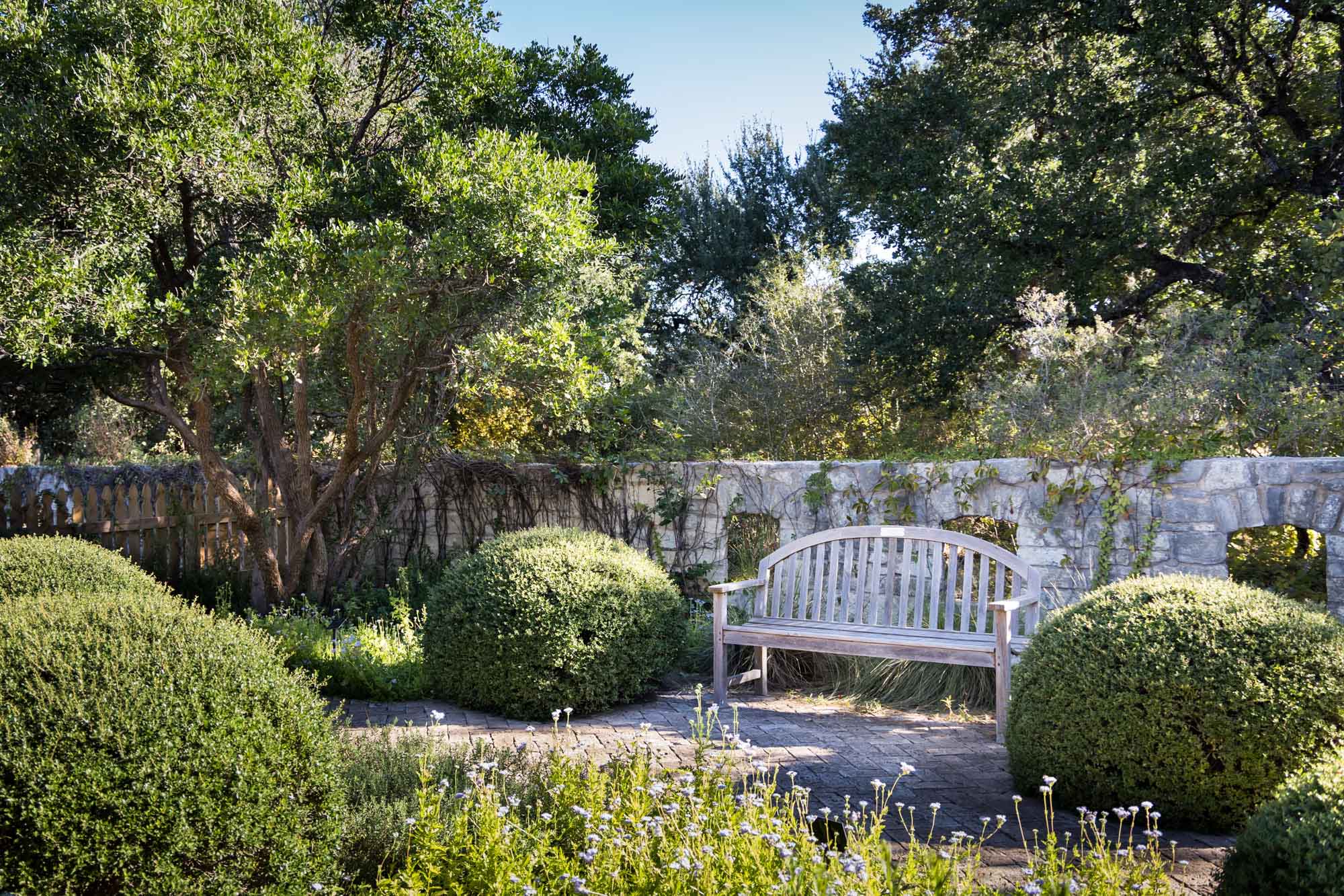Wooden bench beside bushes and plants in the Lady Bird Johnson Wildflower Center for an article on the best places to propose in Austin