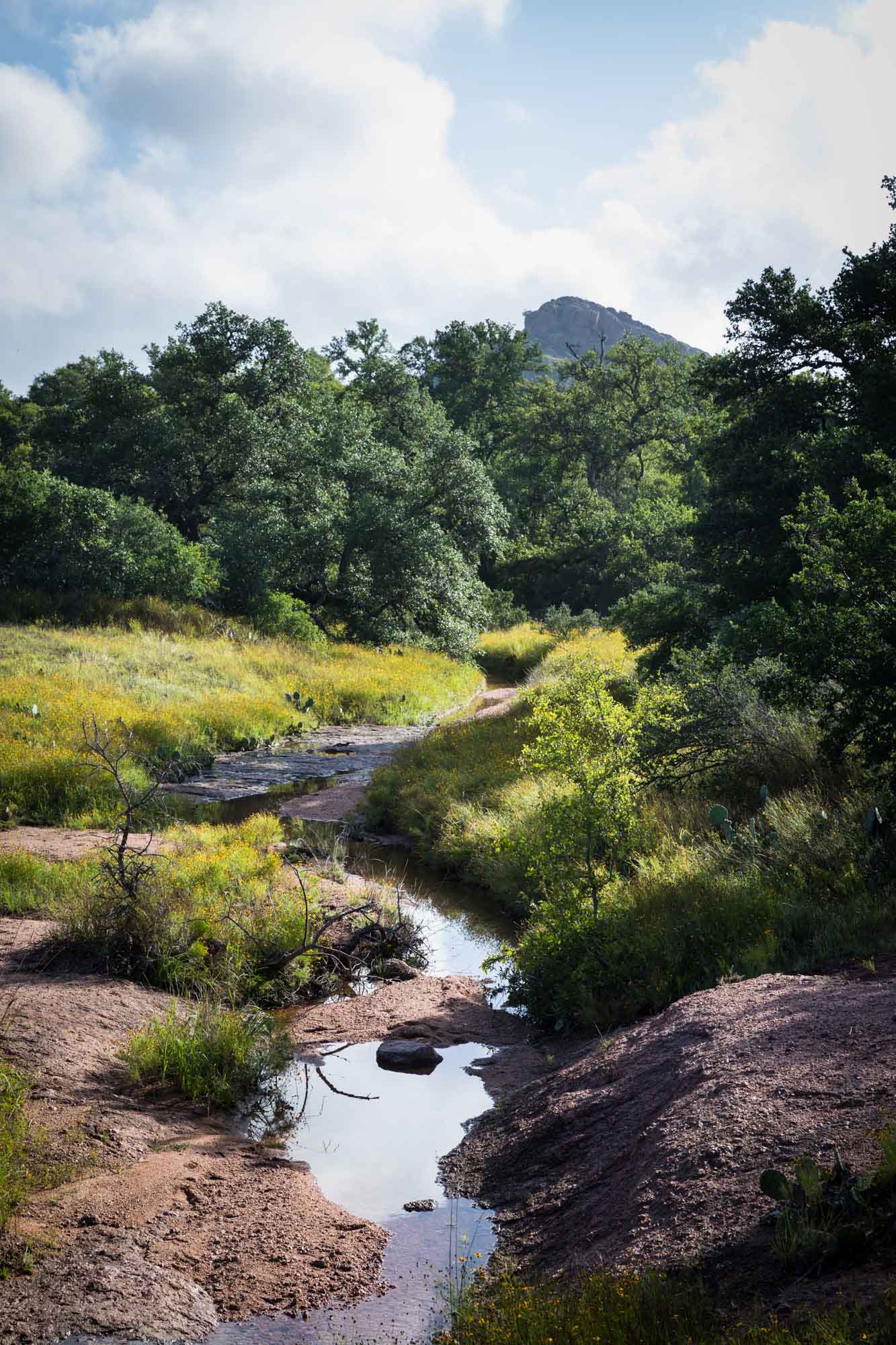 Creek flowing through trees, rocks, and bushes at Enchanted Rock for an article on the best places to propose in Austin