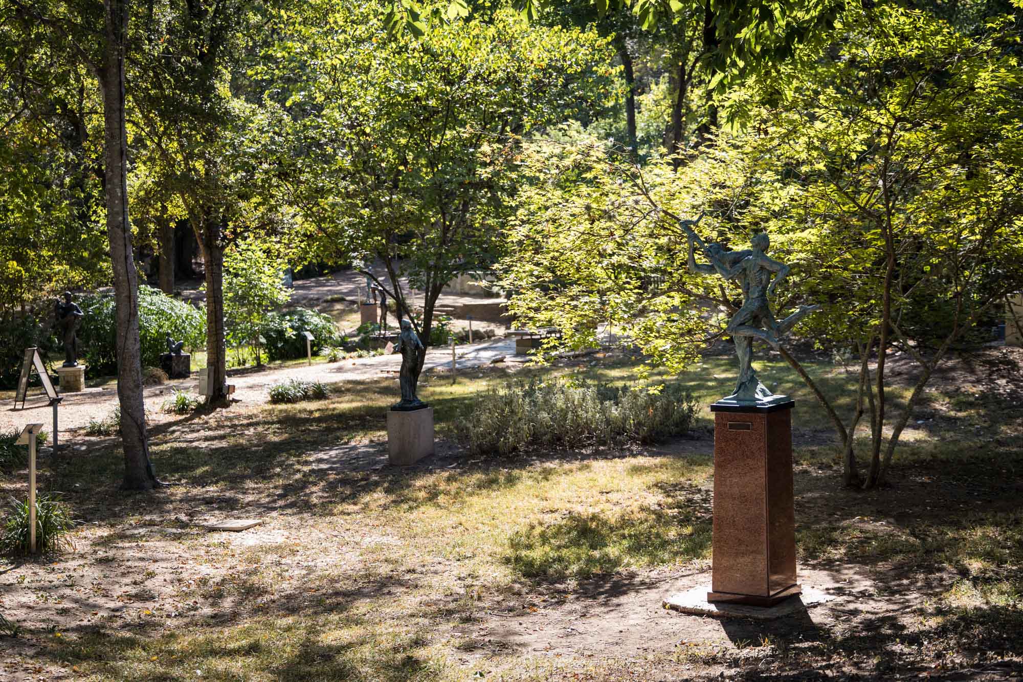 Pathways leading through trees and sculptures at the Umlauf Sculpture Garden for an article on the best places to propose in Austin