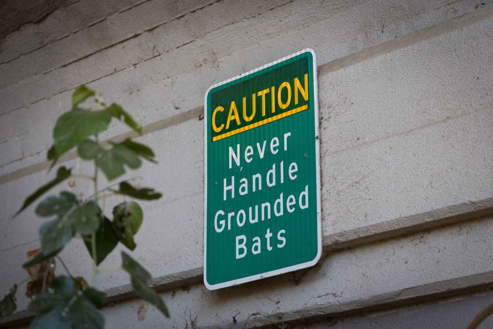 Green sign that says, 'Caution Never Handle Grounded Bats' on the Congress Avenue Bridge for an article on the best places to propose in Austin