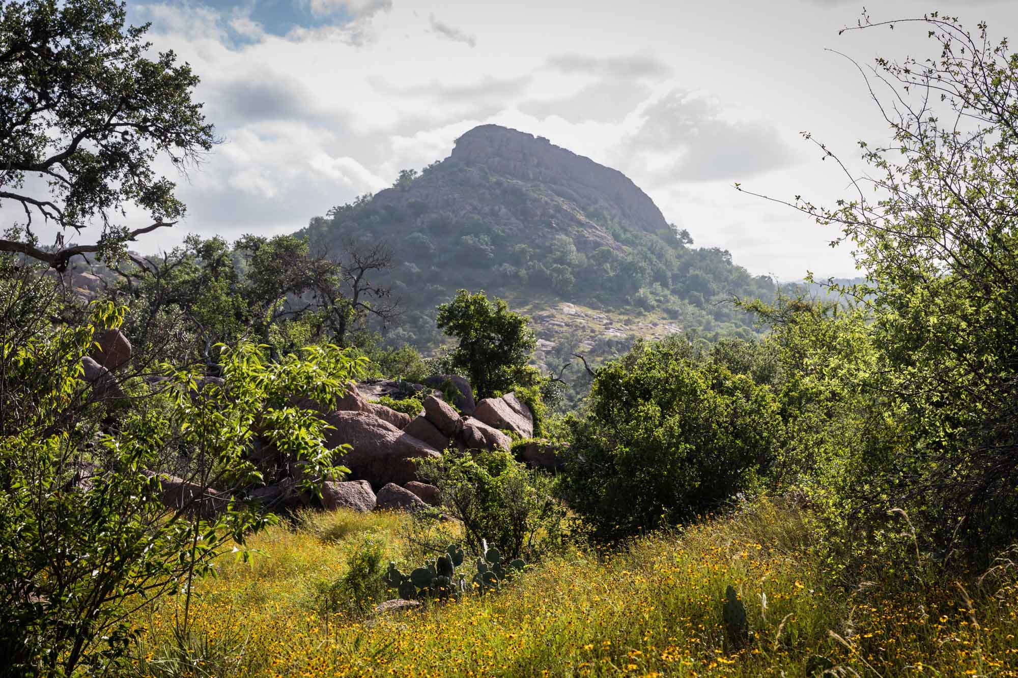 Mountain, trees, and bushes at Enchanted Rock for an article on the best places to propose in Austin