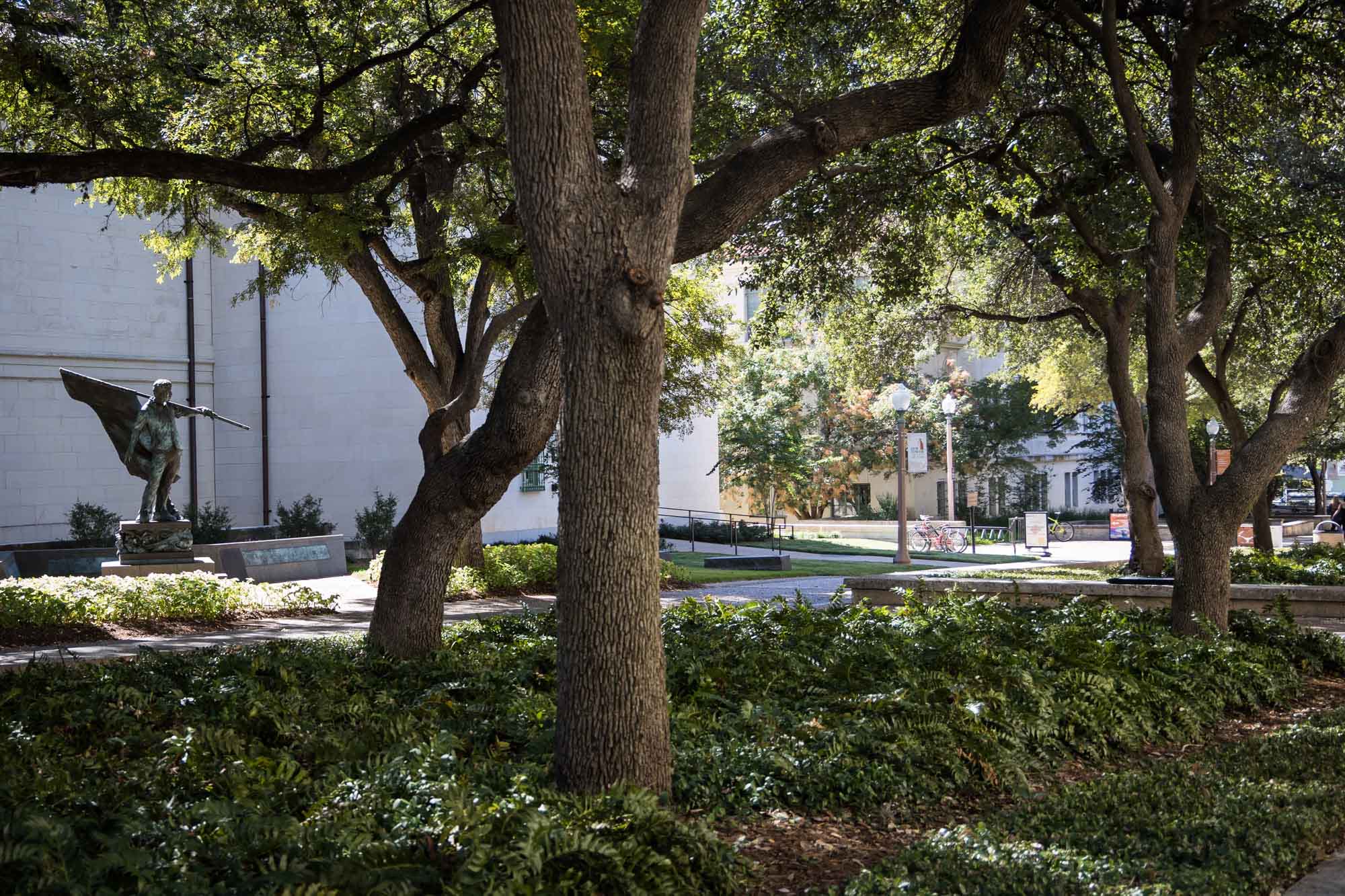 Pathways with trees and bushes at the University of Texas in Austin for an article on the best places to propose in Austin