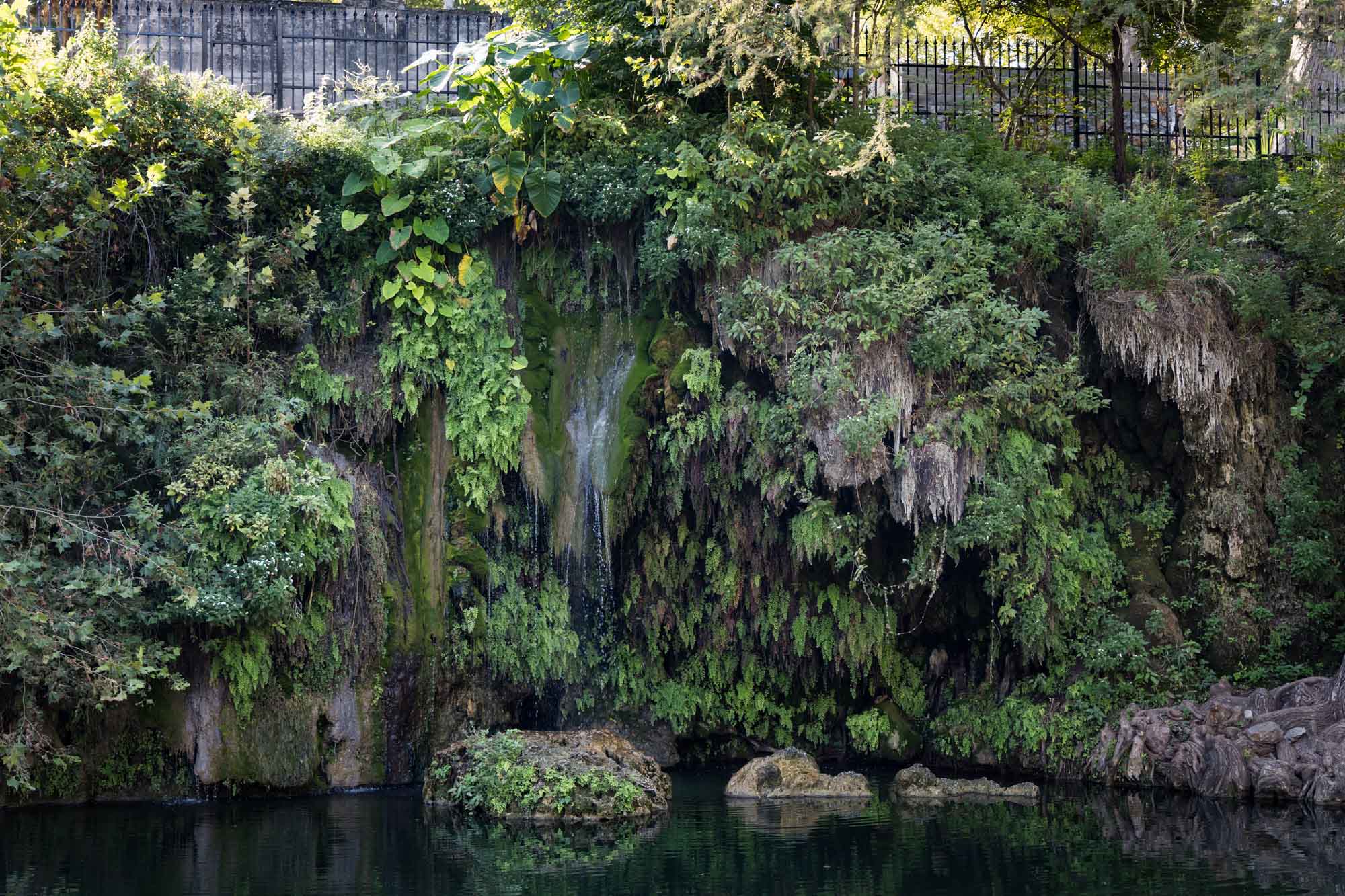 Moss-covered waterfall at Krause Springs for an article on the best places to propose in Austin