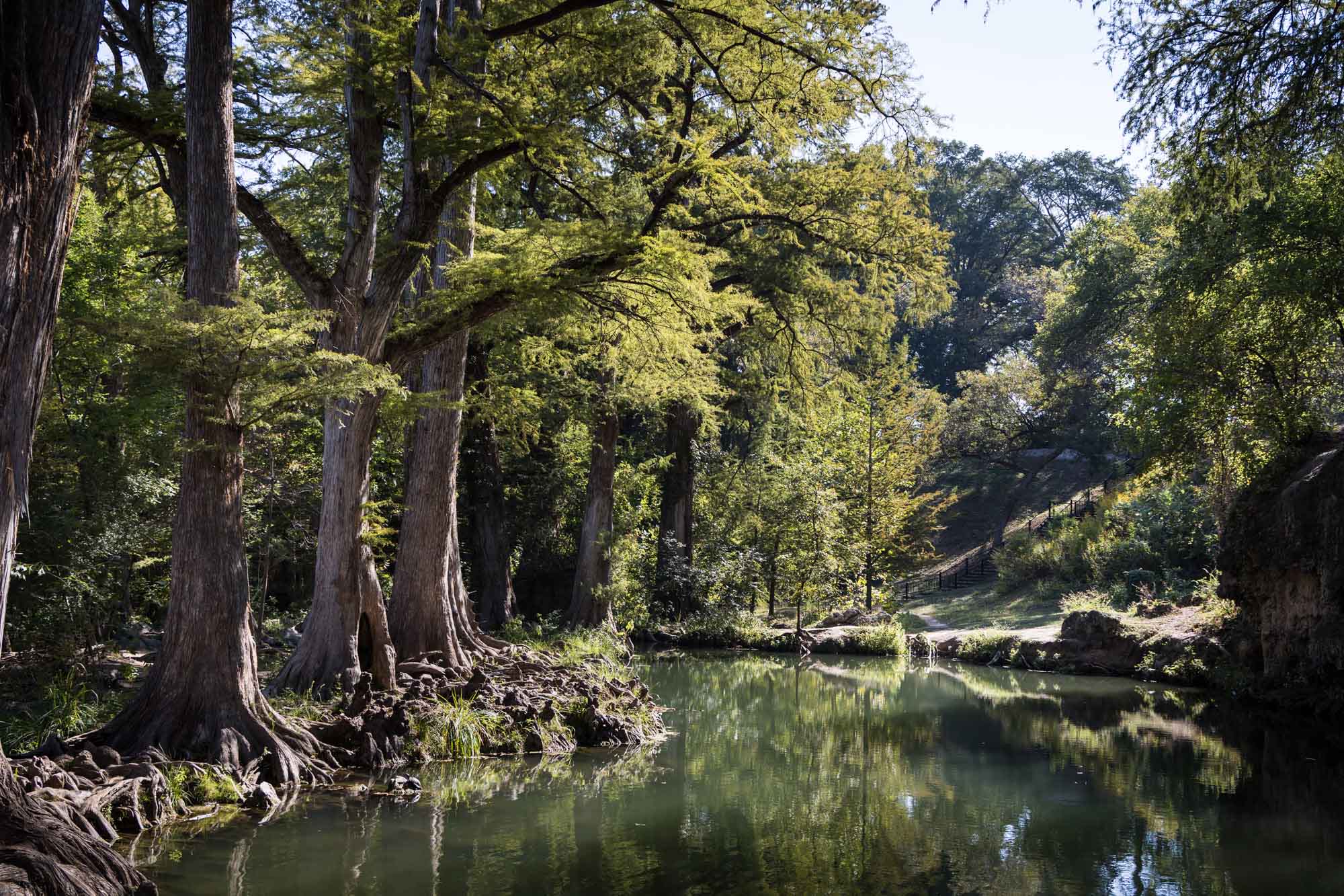 Cedar trees and lake at Krause Springs for an article on the best places to propose in Austin