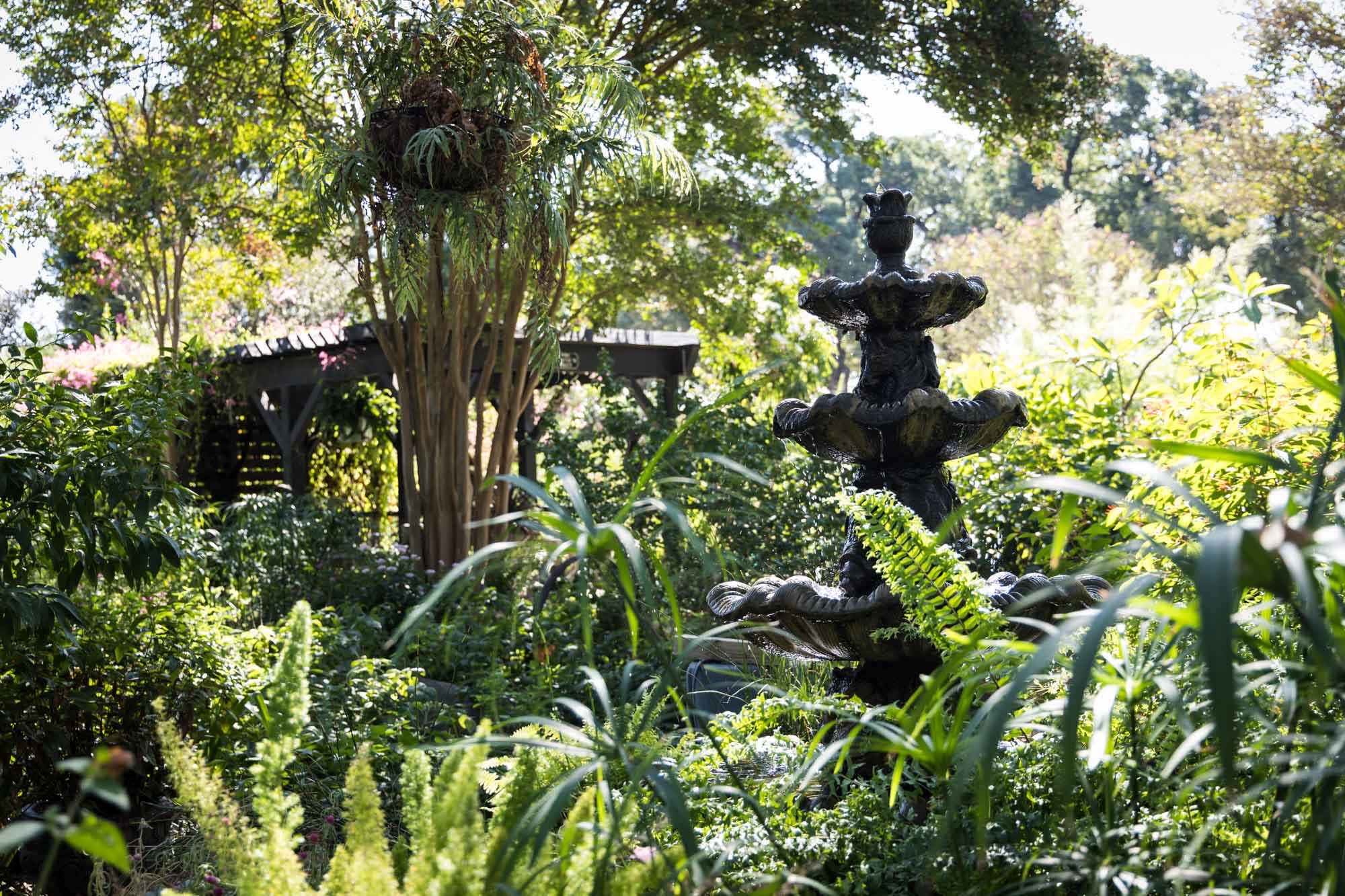 Botanical garden and fountain at Krause Springs for an article on the best places to propose in Austin