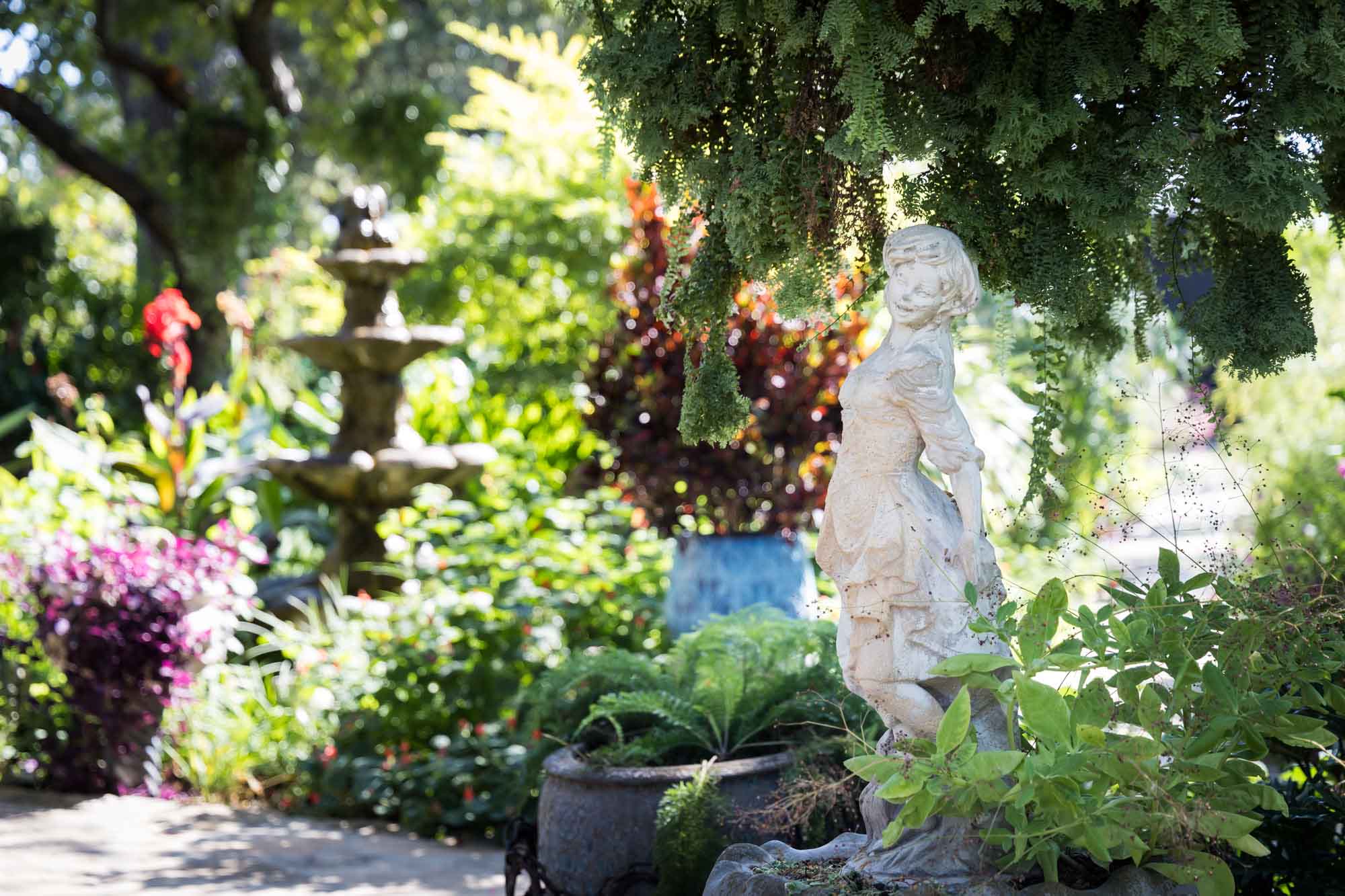 White sculpture in front of fountain in botanical garden for an article on the best places to propose in Austin