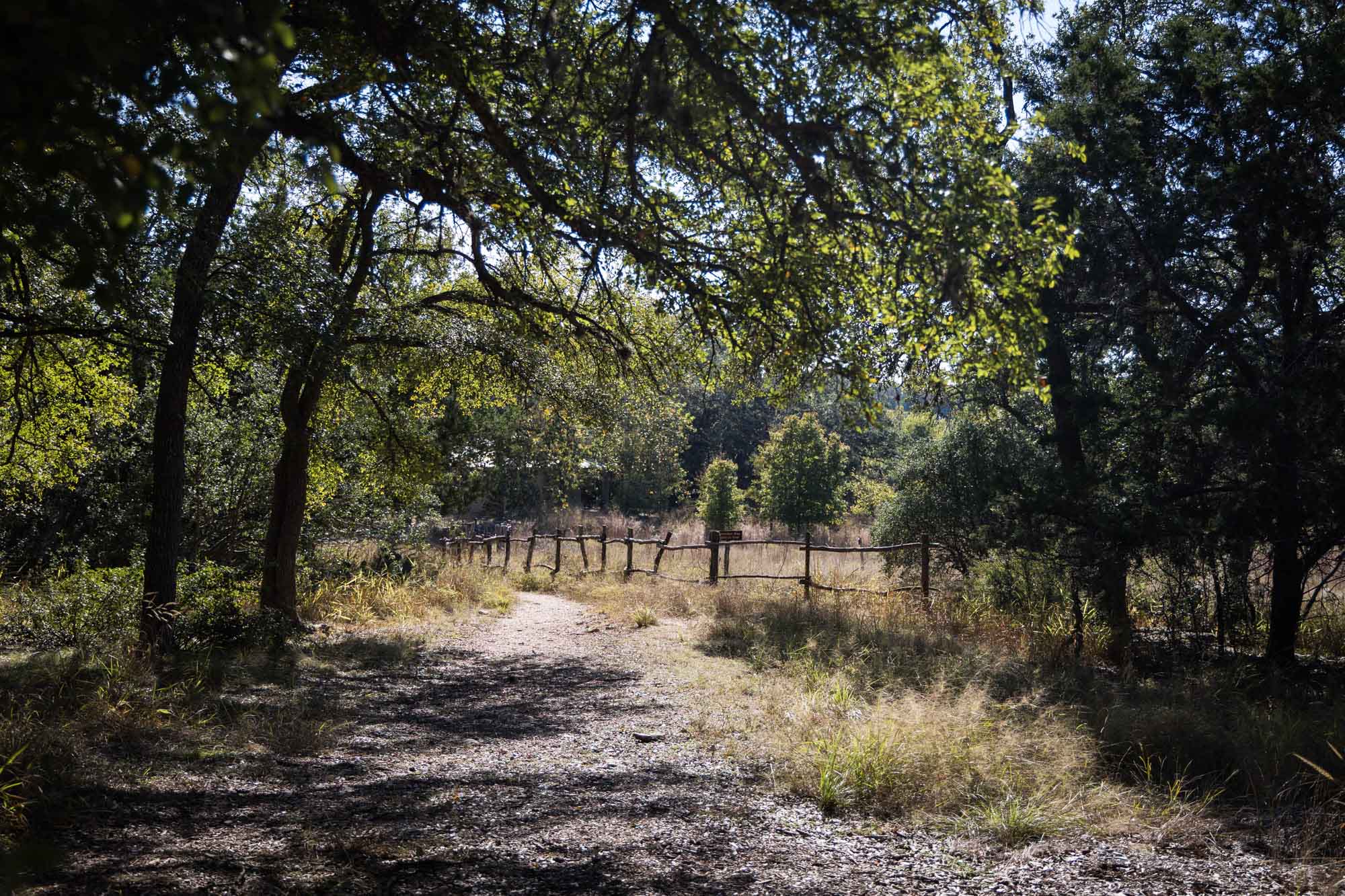 Pathway from Cibolo Nature Center parking lot to nature center with wooden fence for an article on Cibolo Nature Center surprise proposal tips