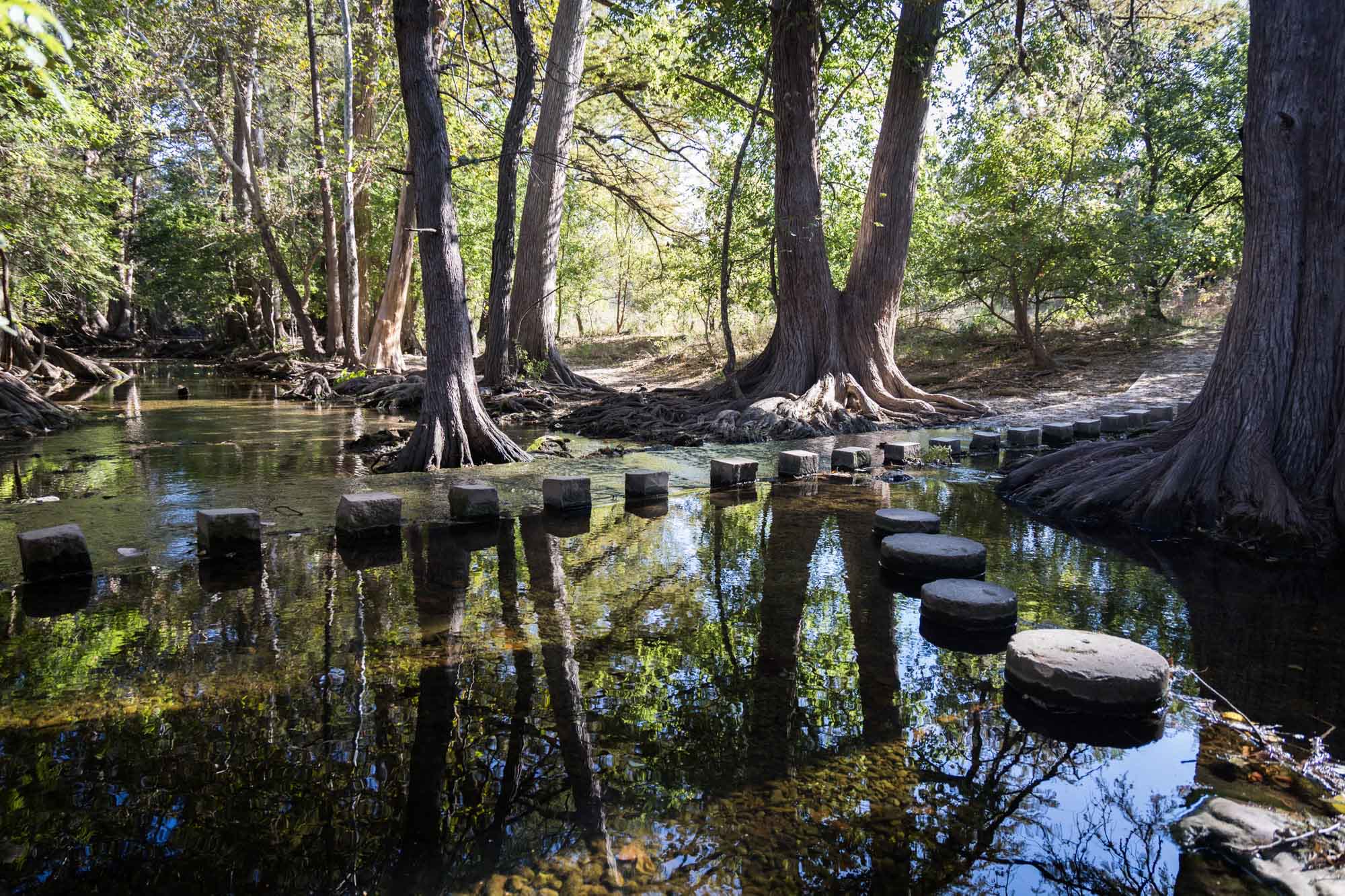 View over water of stepping stones and Cooper's Crossing with square stepping stones for an article on Cibolo Nature Center surprise proposal tips