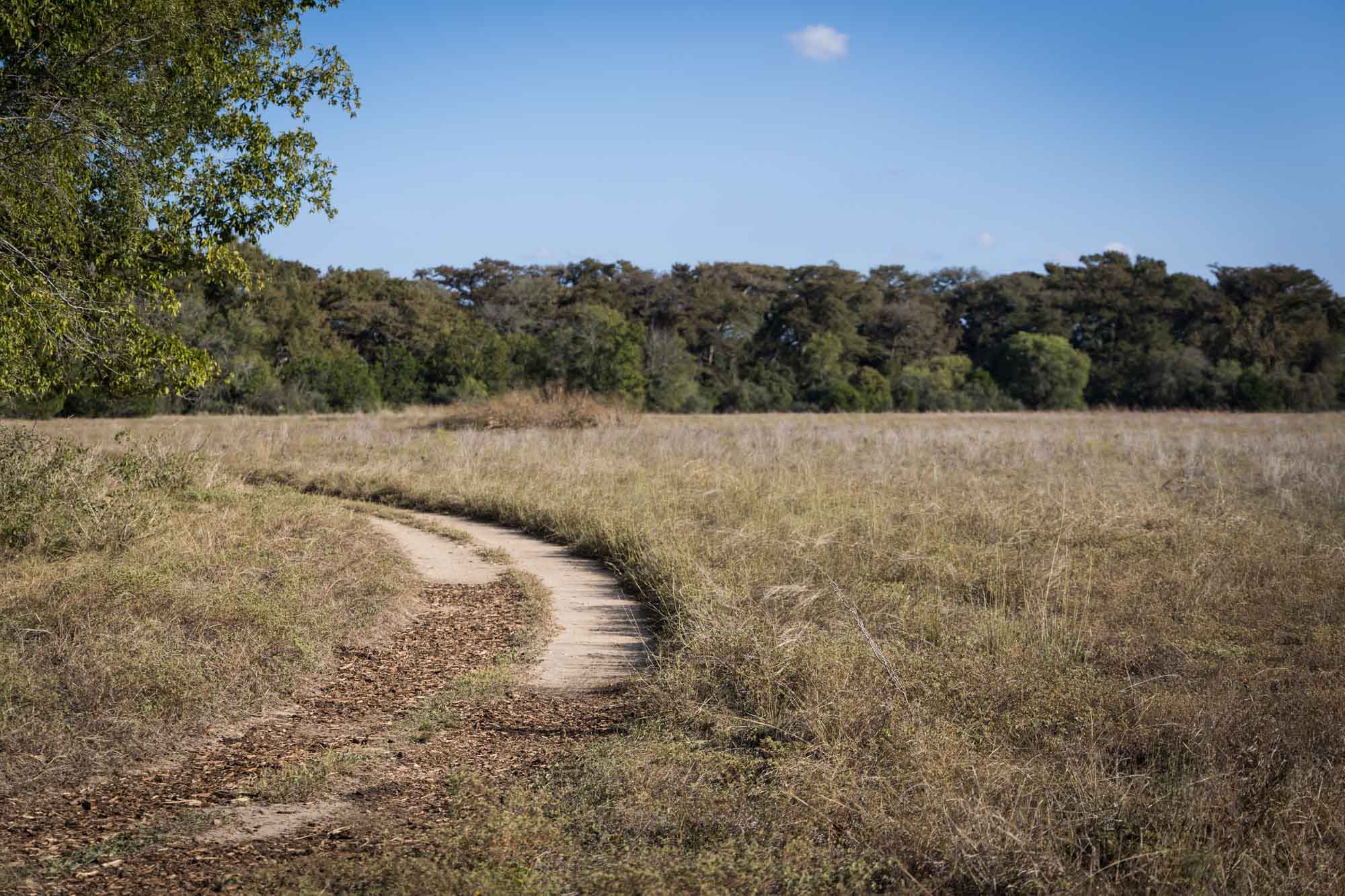 Pathway through Menger Creek meadow for an article on Cibolo Nature Center surprise proposal tips