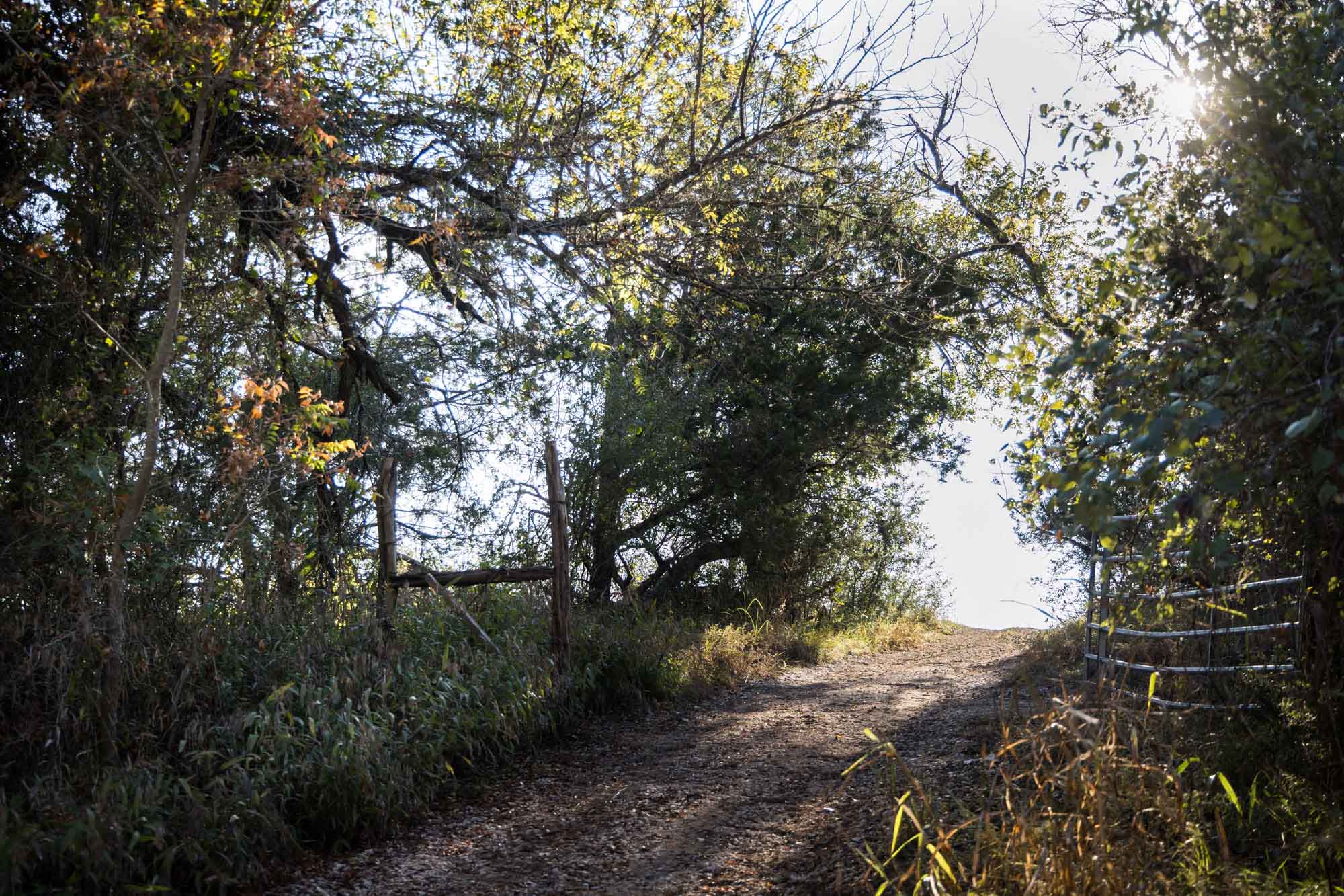 Pathway leading through gate and trees to Menger Creek meadow for an article on Cibolo Nature Center surprise proposal tips