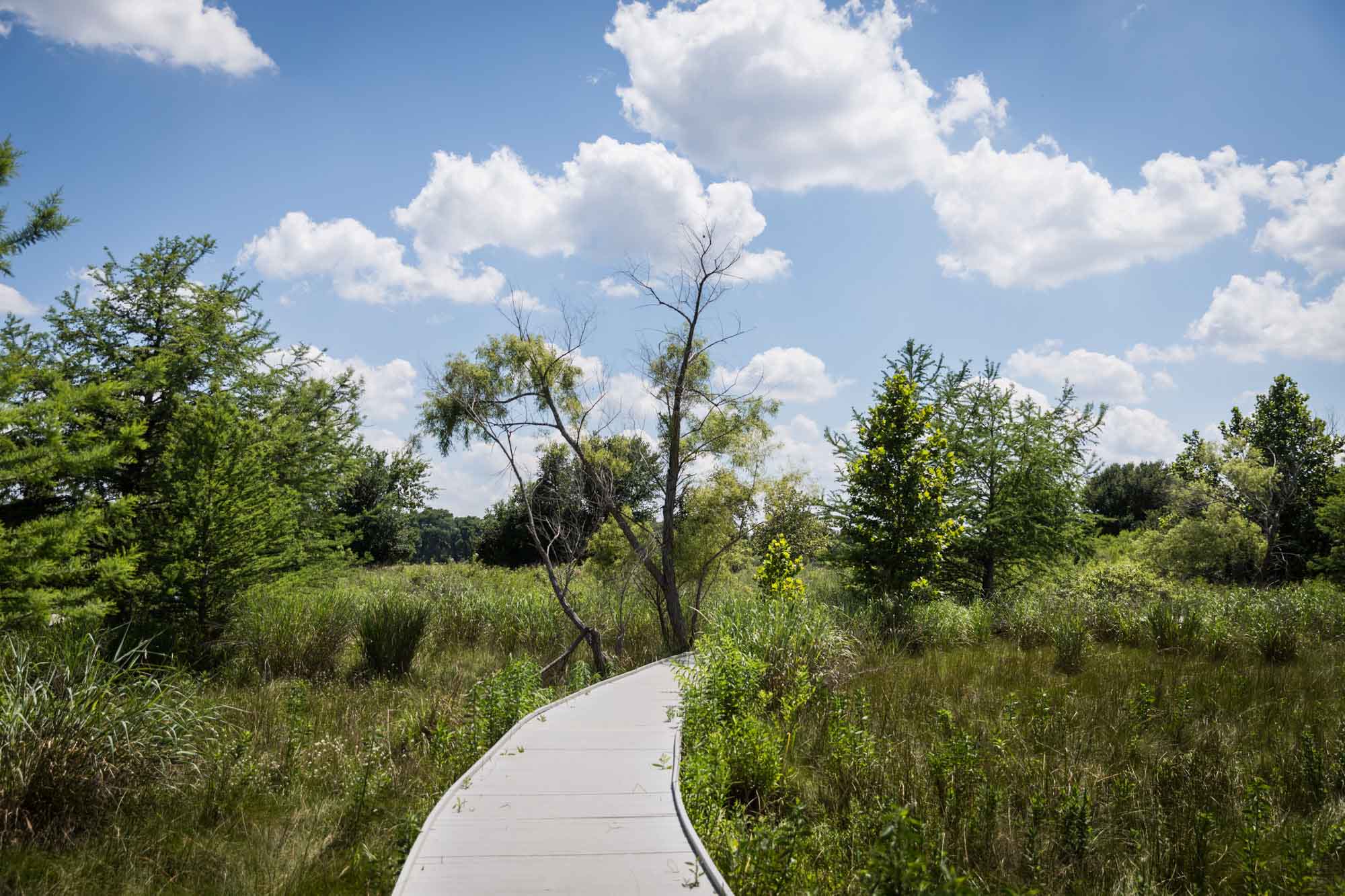 Boardwalk on marsh trail for an article on Cibolo Nature Center surprise proposal tips