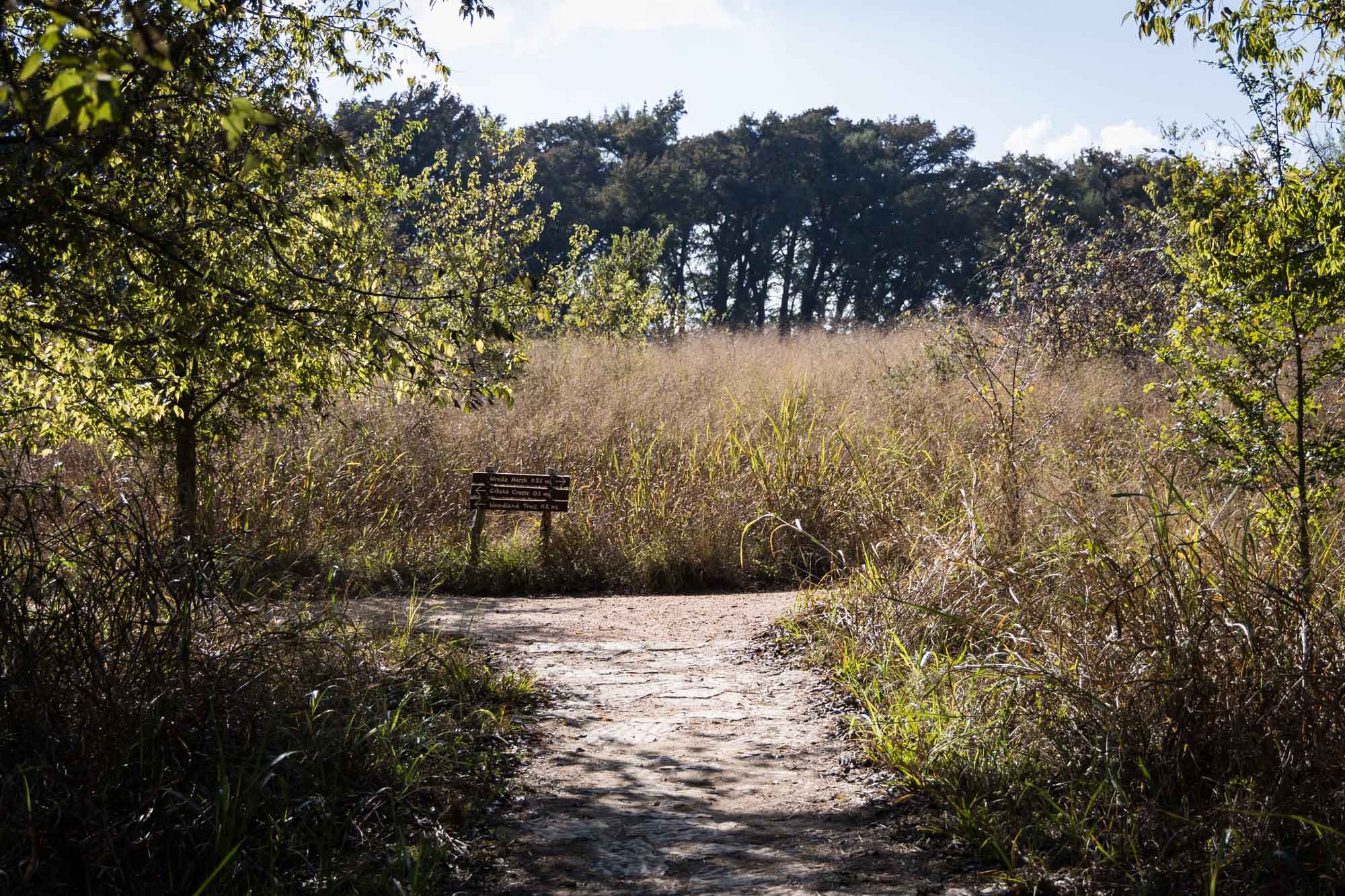 Pathway leading to wooden sign in front of grasses and trees for an article on Cibolo Nature Center surprise proposal tips