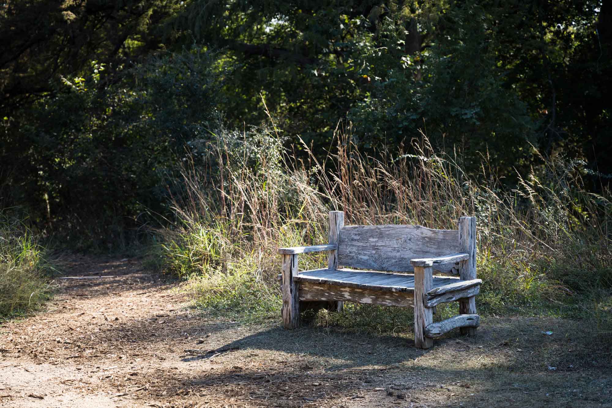 Wooden bench in front of grasses along mulch pathway for an article on Cibolo Nature Center surprise proposal tips
