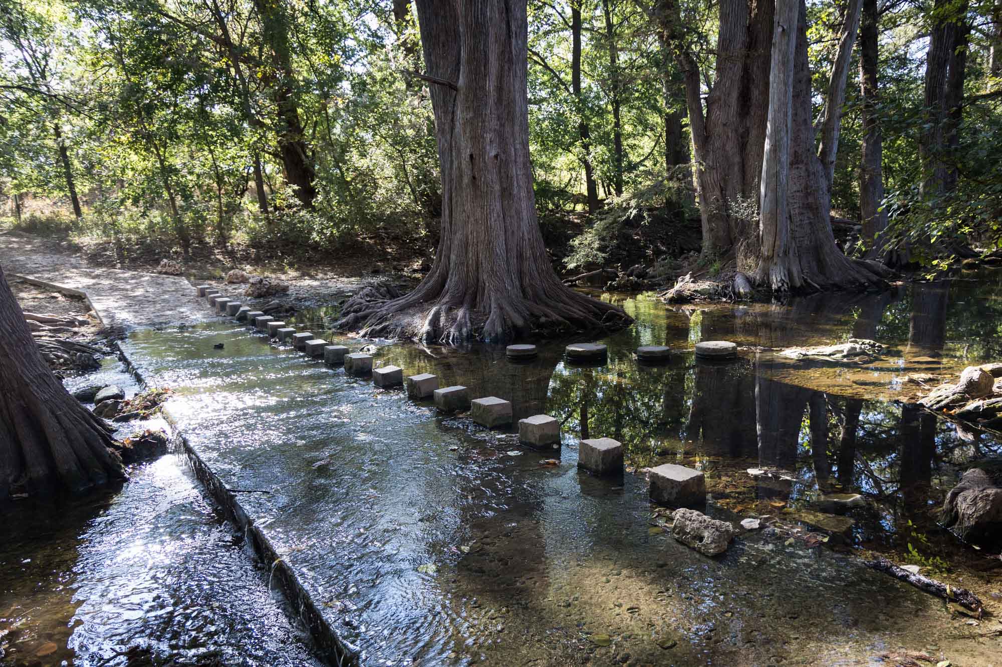 Concrete bridge of Cooper's Crossing across Cibolo Creek with trees in background for an article on Cibolo Nature Center surprise proposal tips