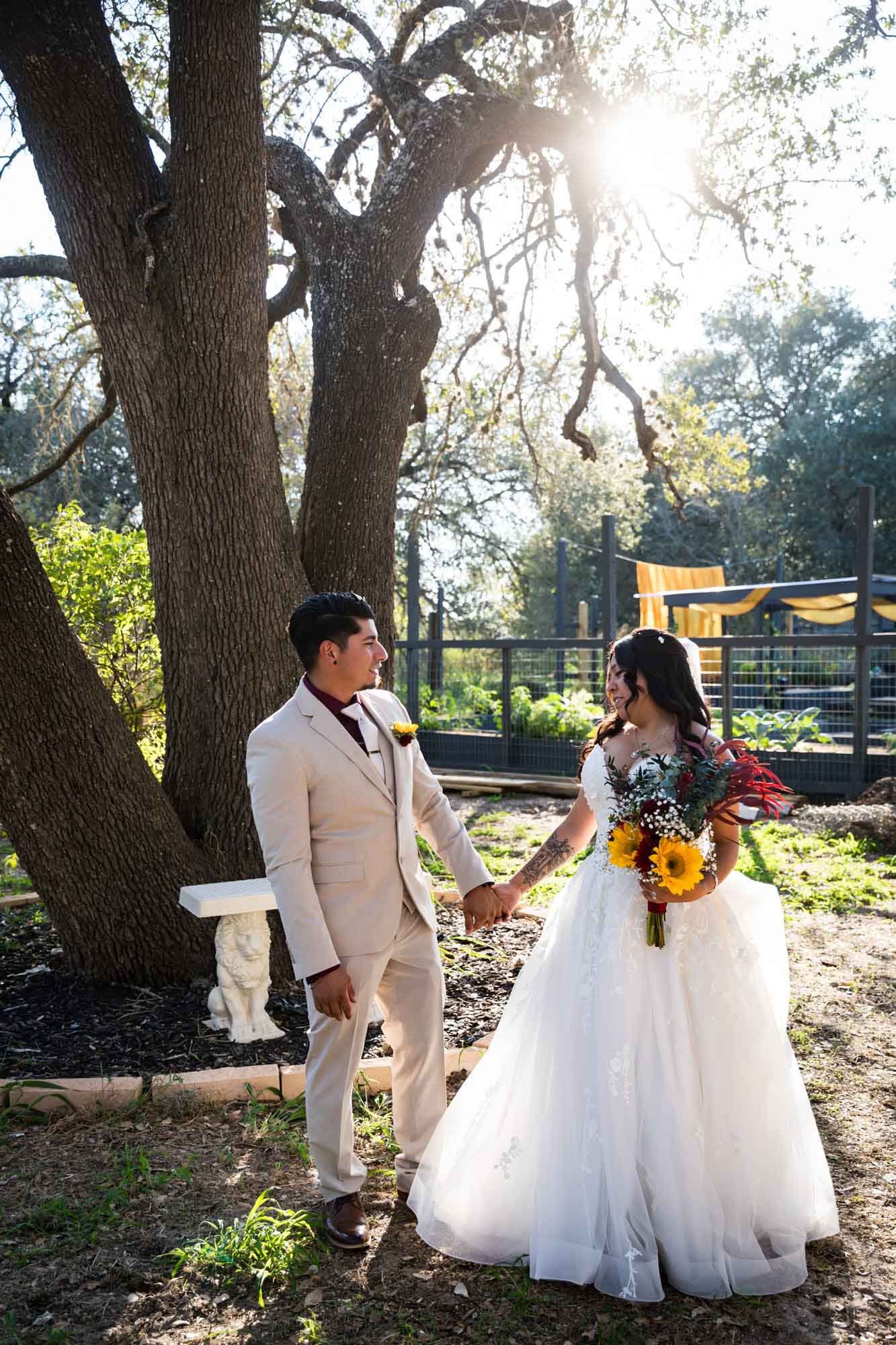 Bride in strapless gown and veil holding hands with groom wearing tan suit in front of large oak tree at a San Antonio DIY wedding