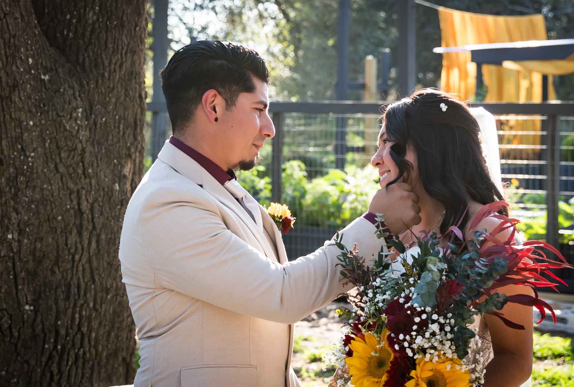 Groom wearing tan suit touching face of bride in strapless gown holding flowers in front of large oak tree at a San Antonio DIY wedding