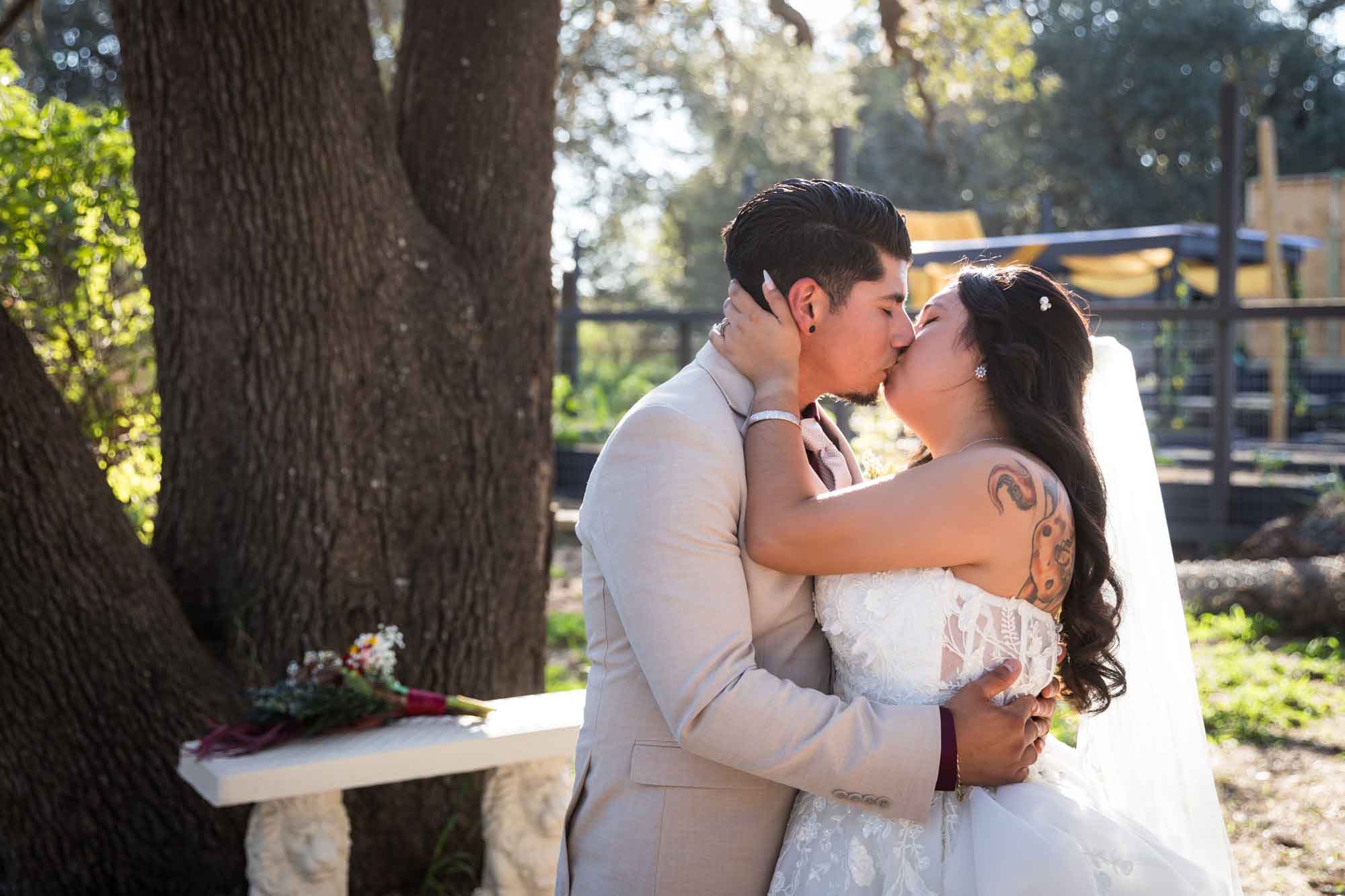 Bride in strapless gown and veil kissing groom wearing tan suit in front of large oak tree at a San Antonio DIY wedding