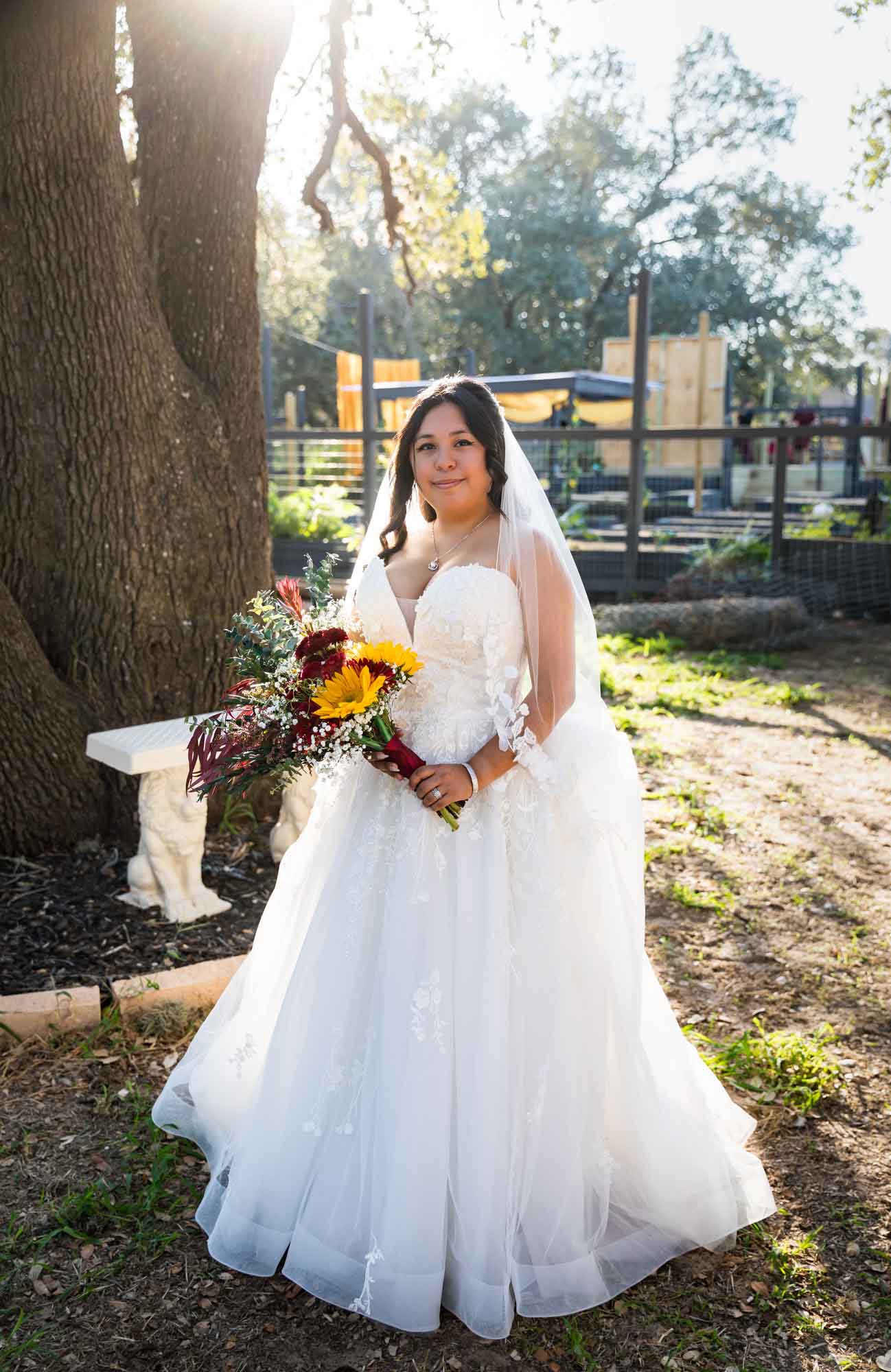 Bride wearing strapless white gown and veil holding flowers standing in front of oak tree at a San Antonio DIY wedding