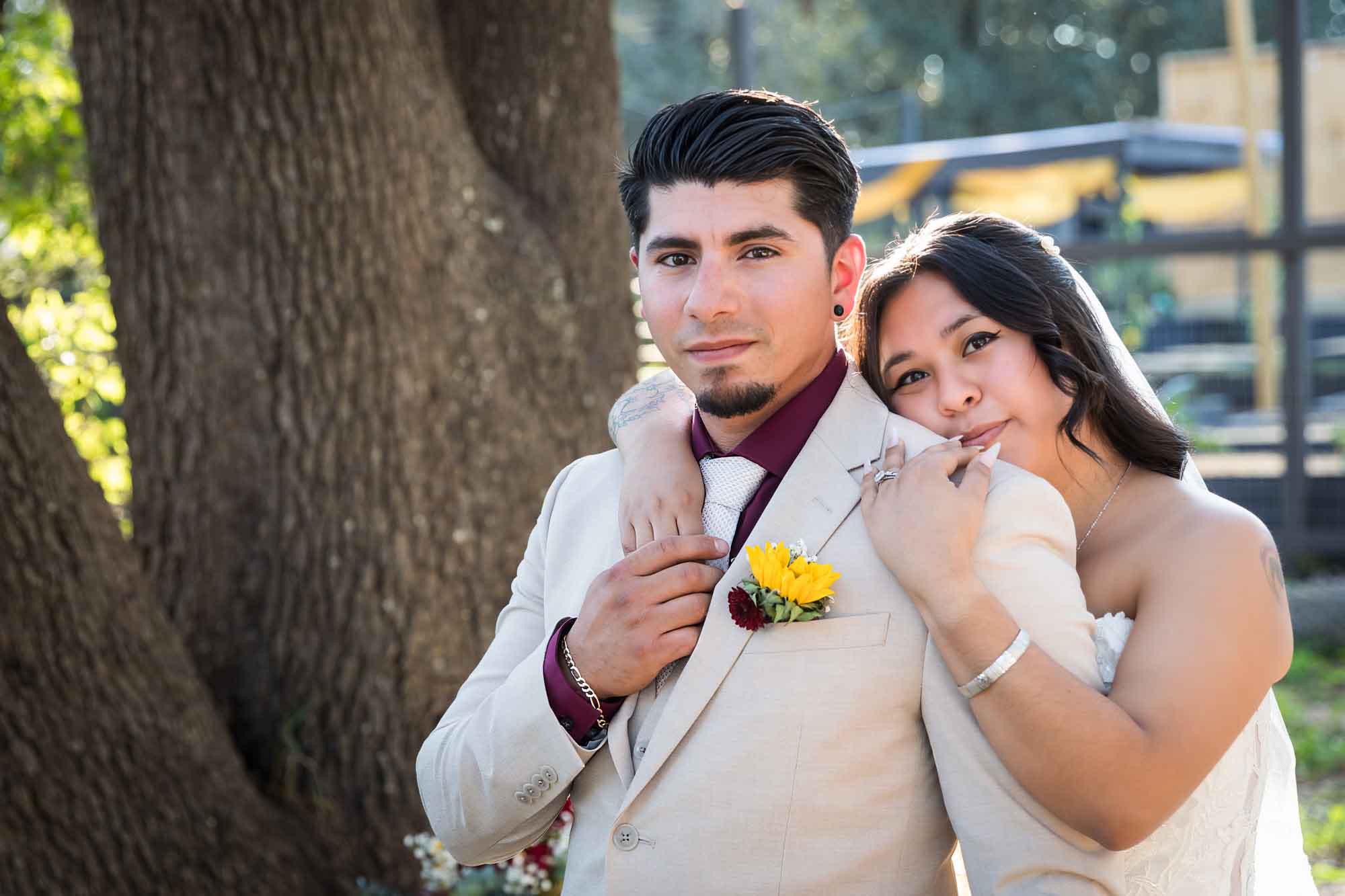 Bride in strapless gown and veil hugging groom wearing tan suit in front of large oak tree at a San Antonio DIY wedding