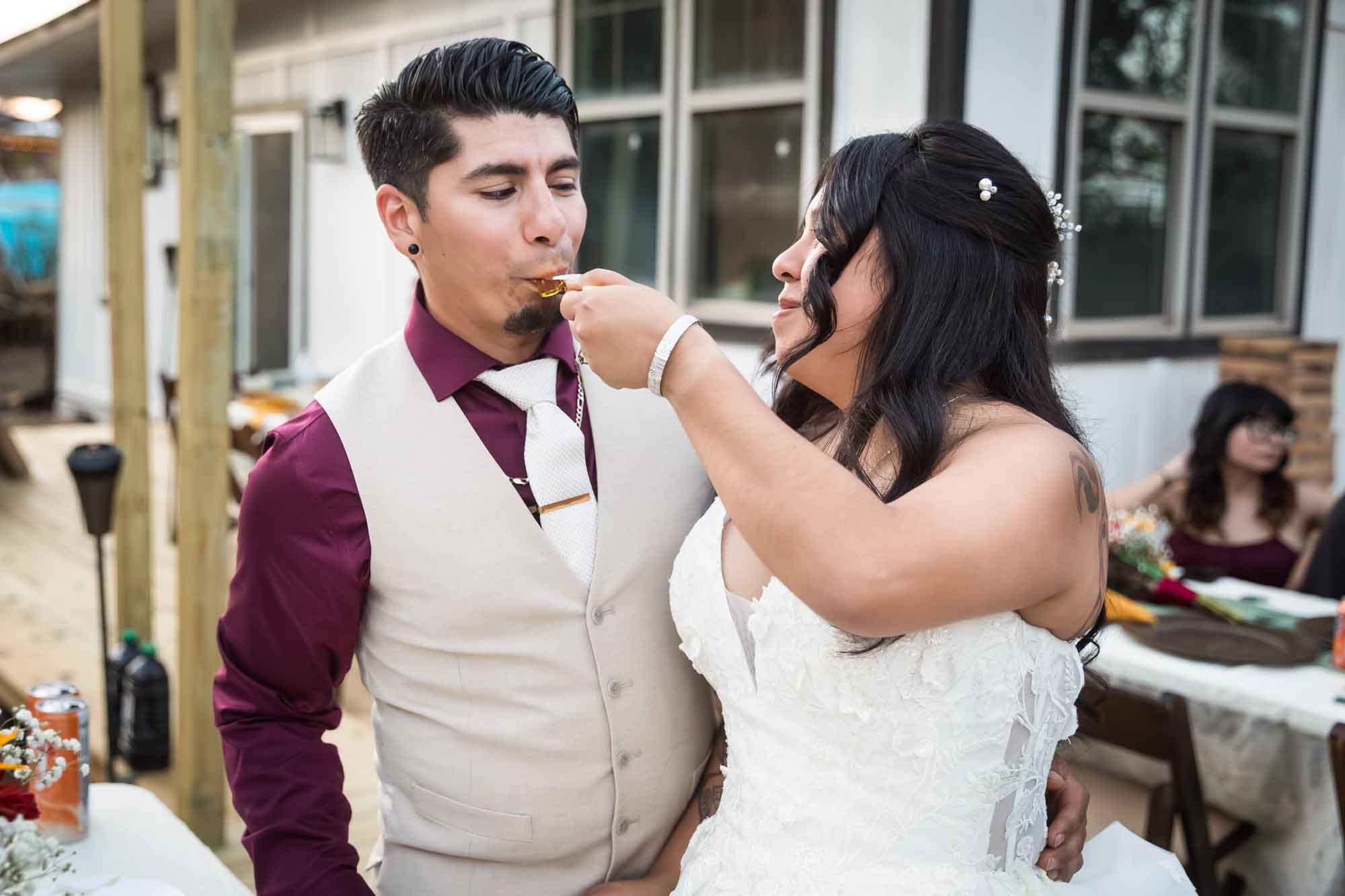 Bride wearing strapless gown feeding cake to groom in front of guests at a San Antonio DIY wedding