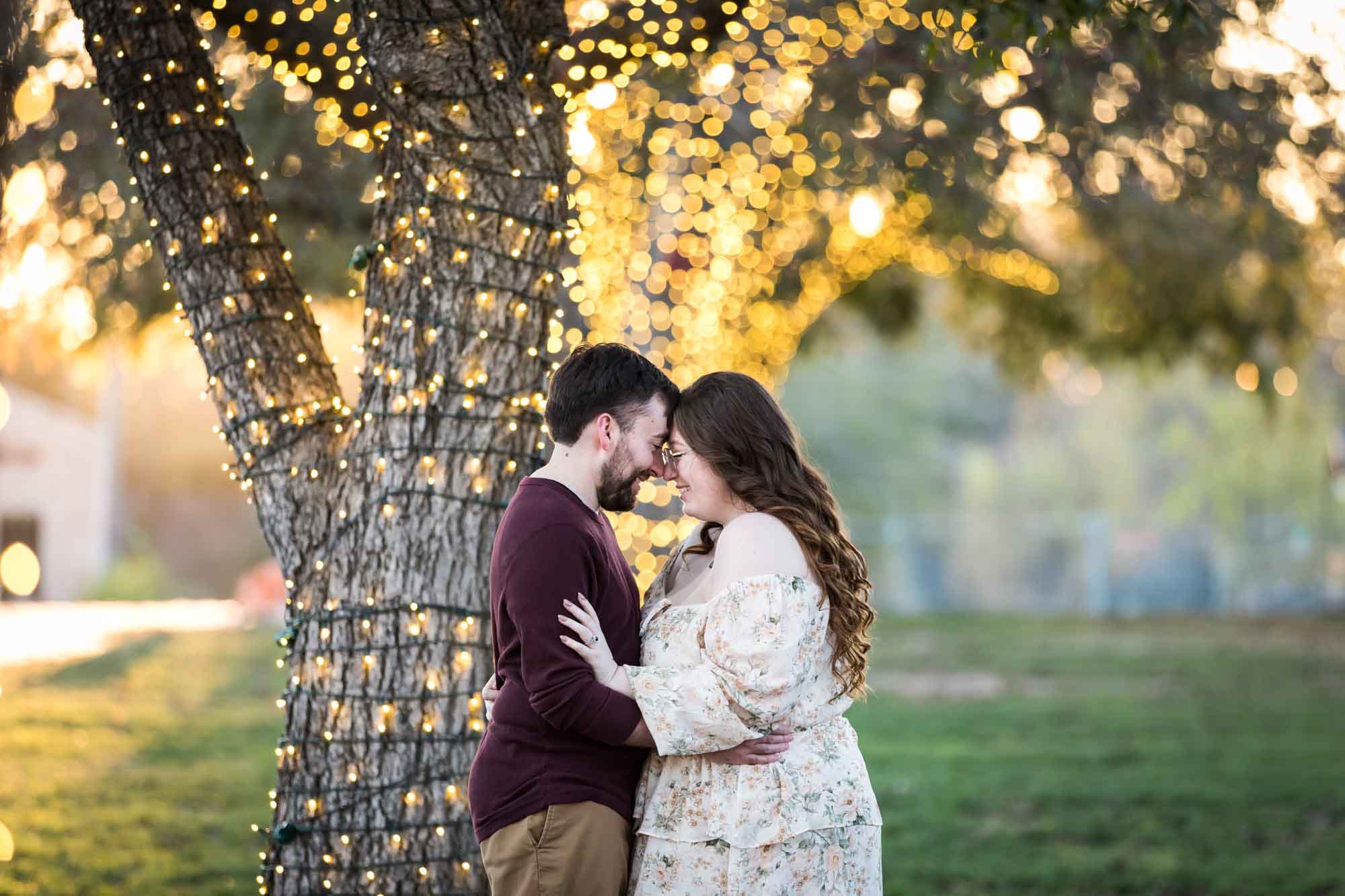 Boerne engagement photos of woman and man pressing foreheads together beside trees wrapped in string lights in Main Plaza