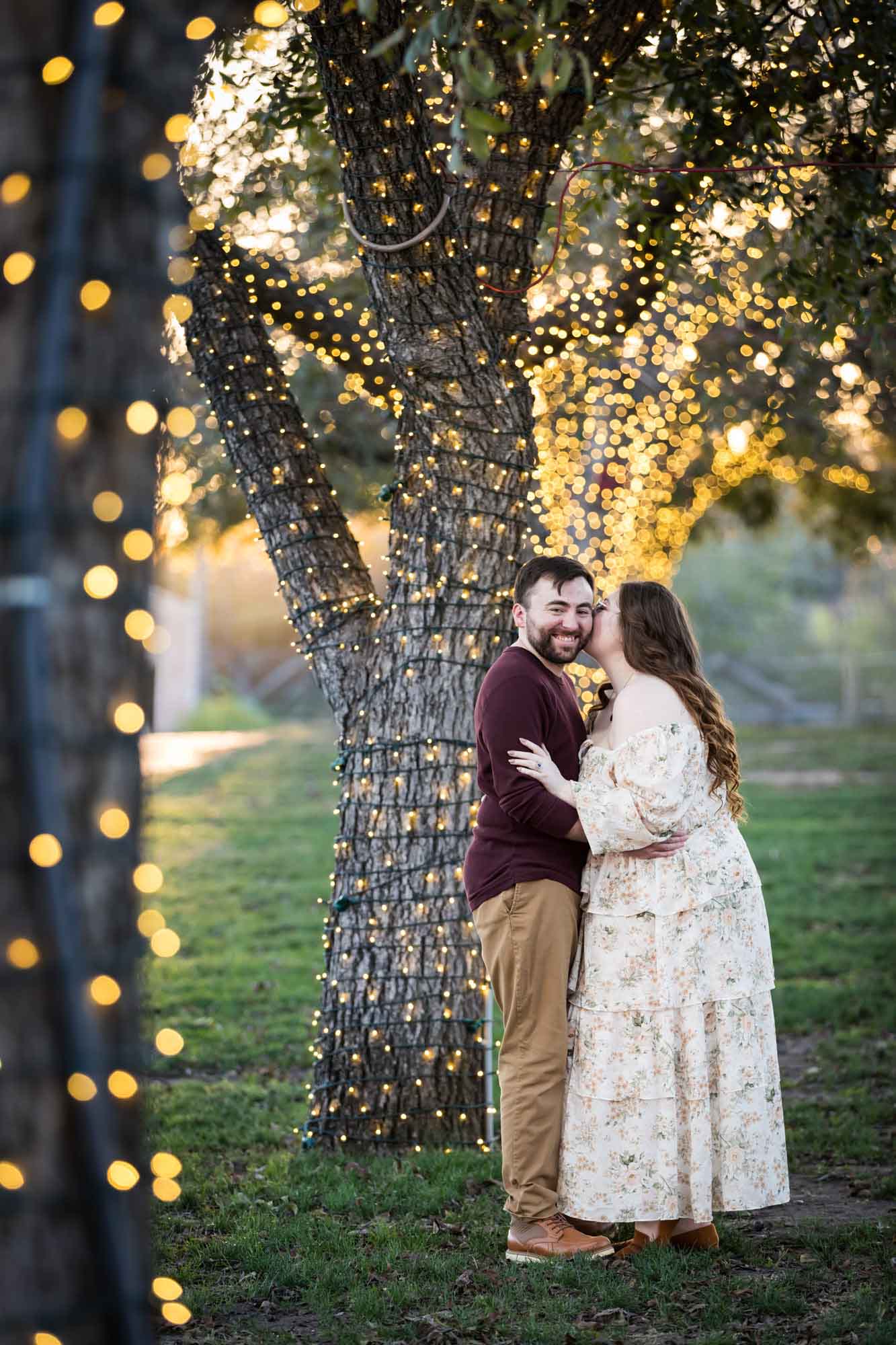 Boerne engagement photos of woman and man kissing beside trees wrapped in string lights in Main Plaza