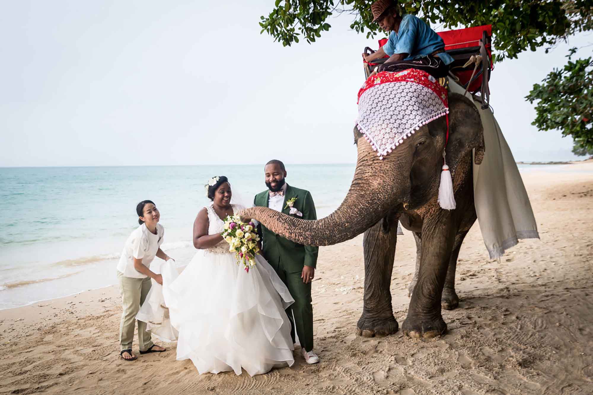 African American bride and groom playing with elephant whose trunk is investigating the bride's bouquet on a beach in Thailand for article on how to elope in San Antonio