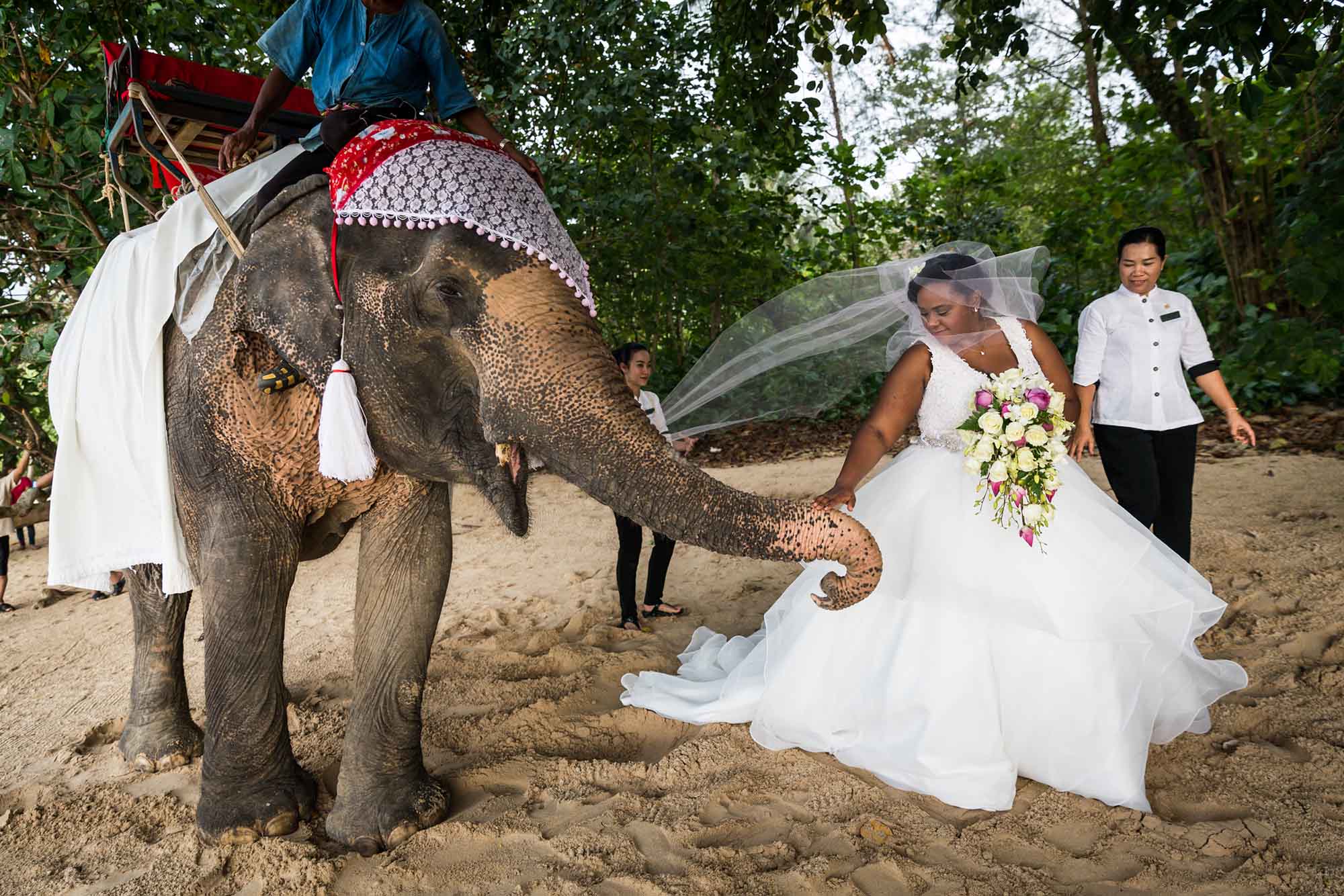 Bride wearing white dress and holding flower bouquet petting trunk of elephant on the beach in Thailand for article on how to elope in San Antonio