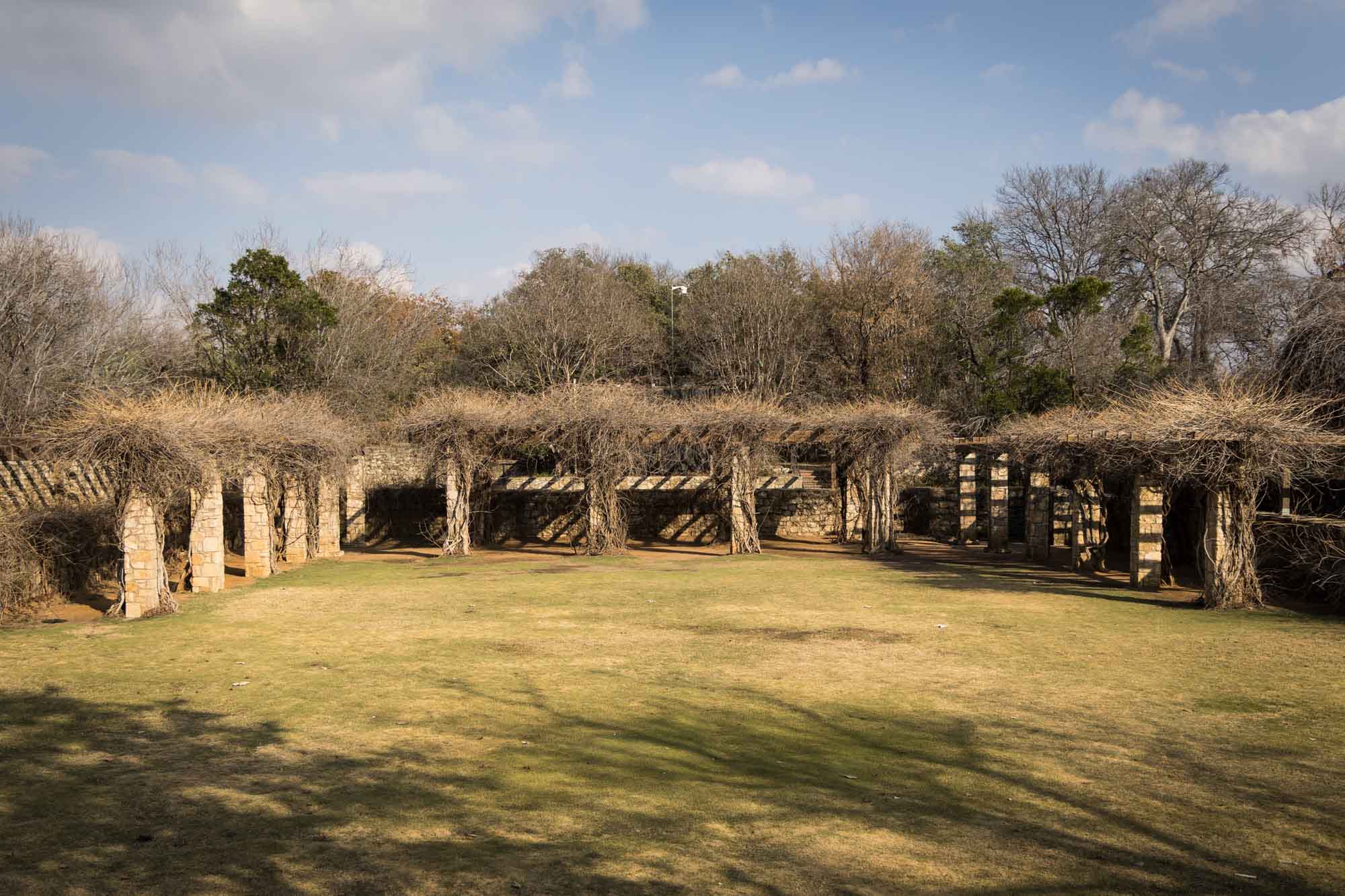 Amphitheater covered in brown vines at the San Antonio Botanical Garden in February