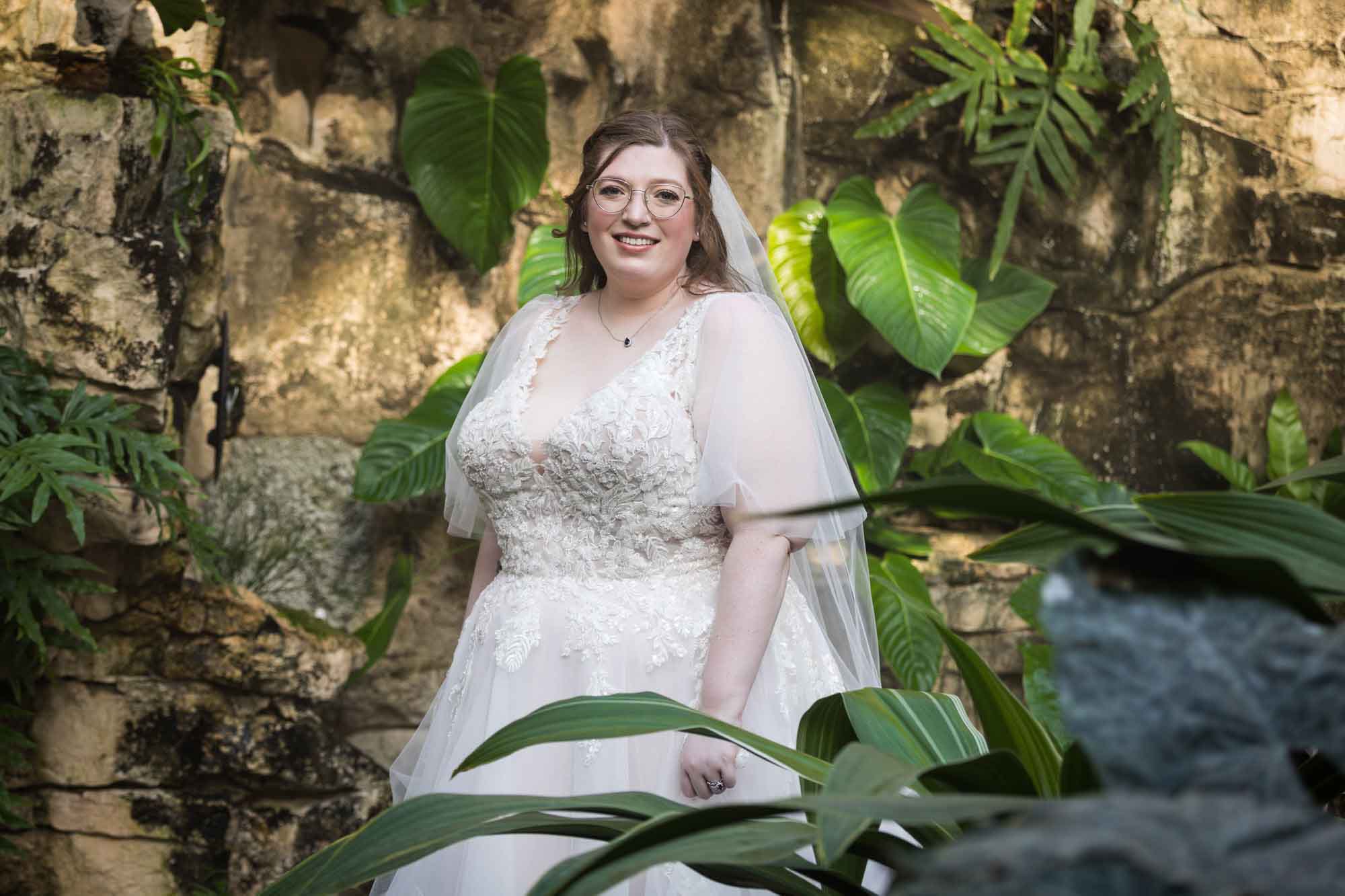 Bride wearing white dress and veil standing in between plants in Fern Grotto during a San Antonio Botanical Gardens bridal portrait session
