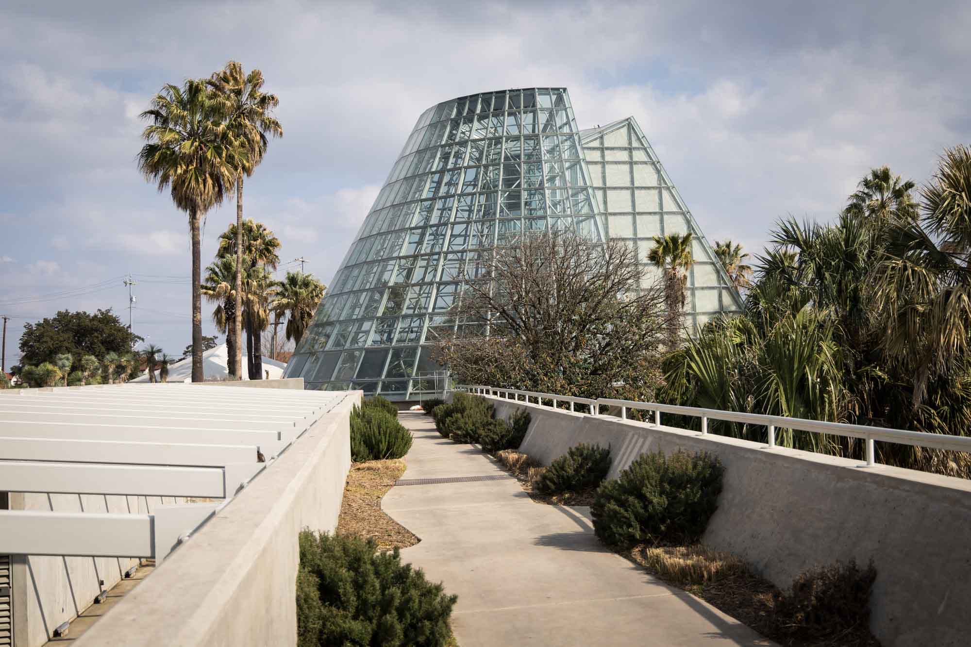 Overhead walkway at the Lucile Halsell Conservatory at the San Antonio Botanical Garden in February
