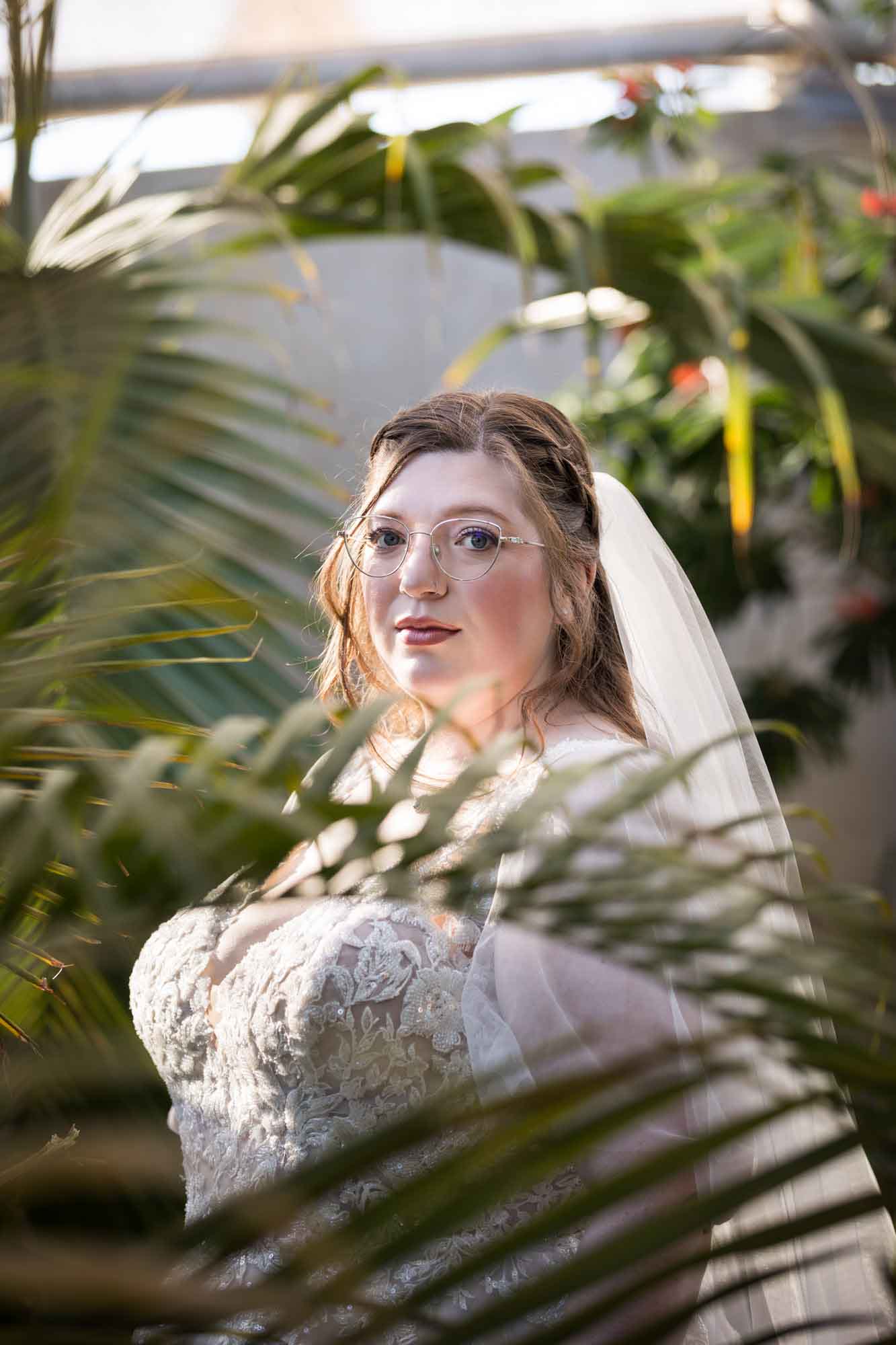 Bride wearing white dress and veil standing behind palm leaves during a San Antonio Botanical Gardens bridal portrait session