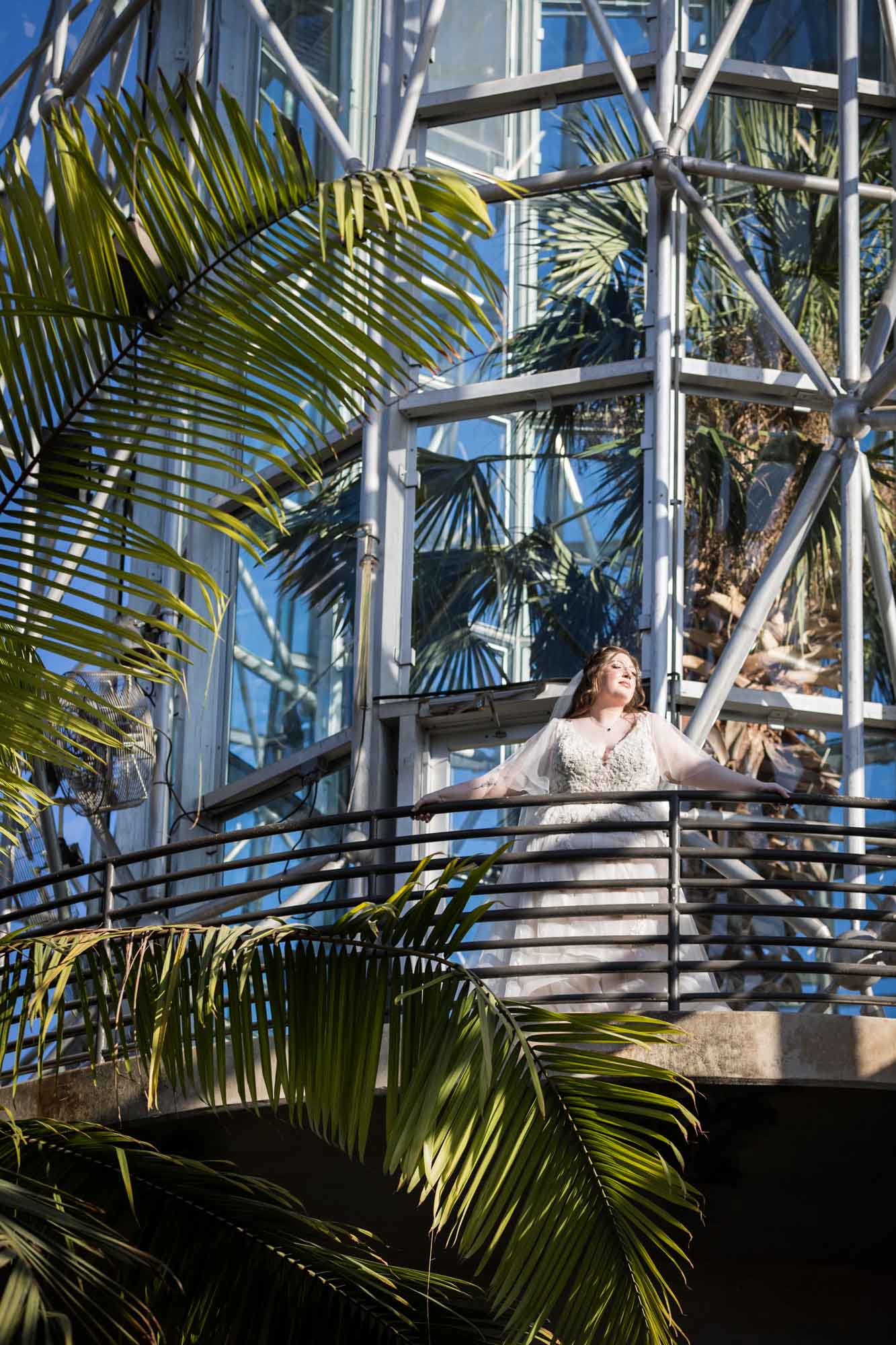 Bride wearing white dress and veil leaning over railing in the palm greenhouse during a San Antonio Botanical Gardens bridal portrait session