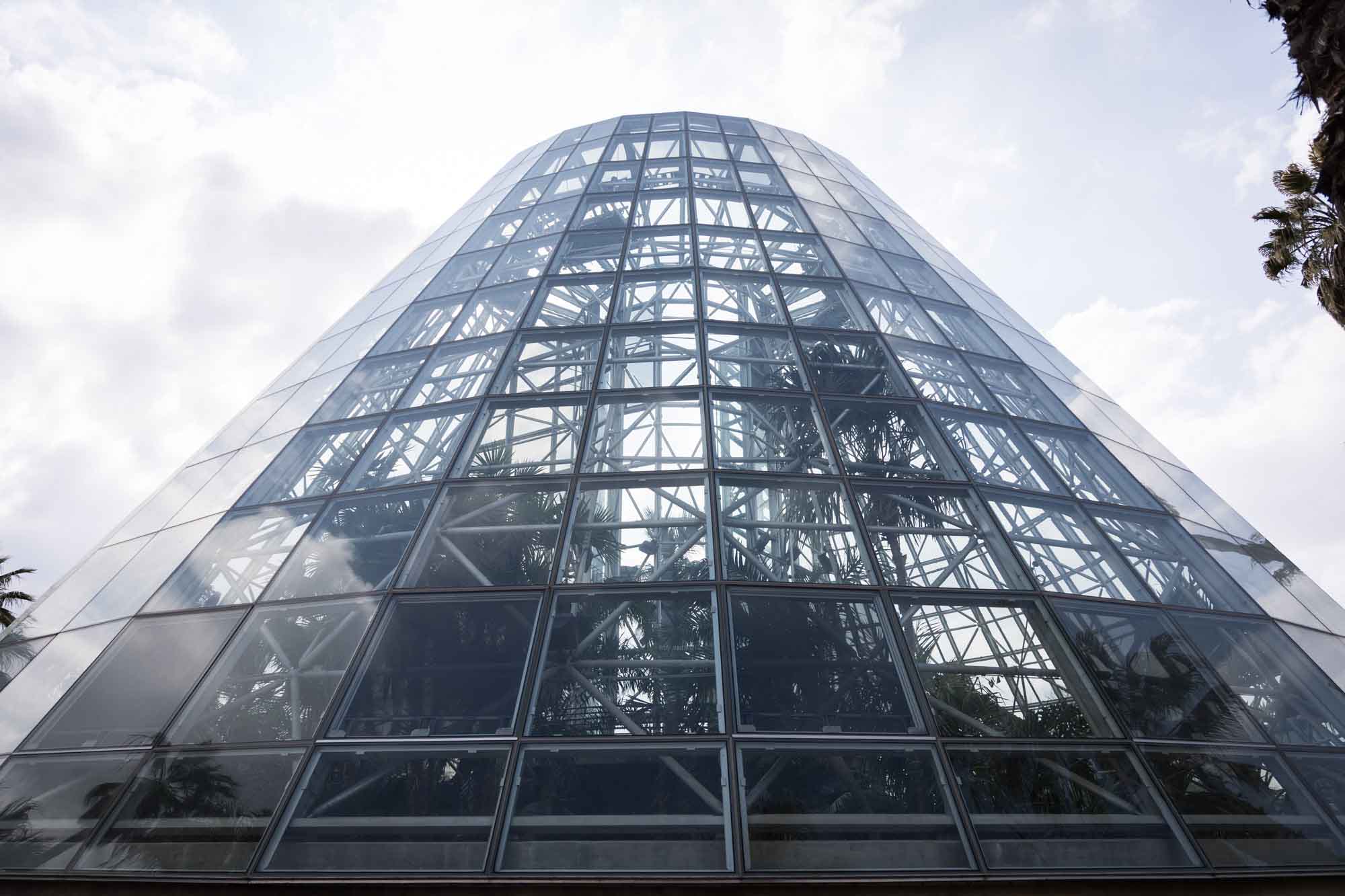 Side of the Palm and Cycad Pavilion at the San Antonio Botanical Garden in February