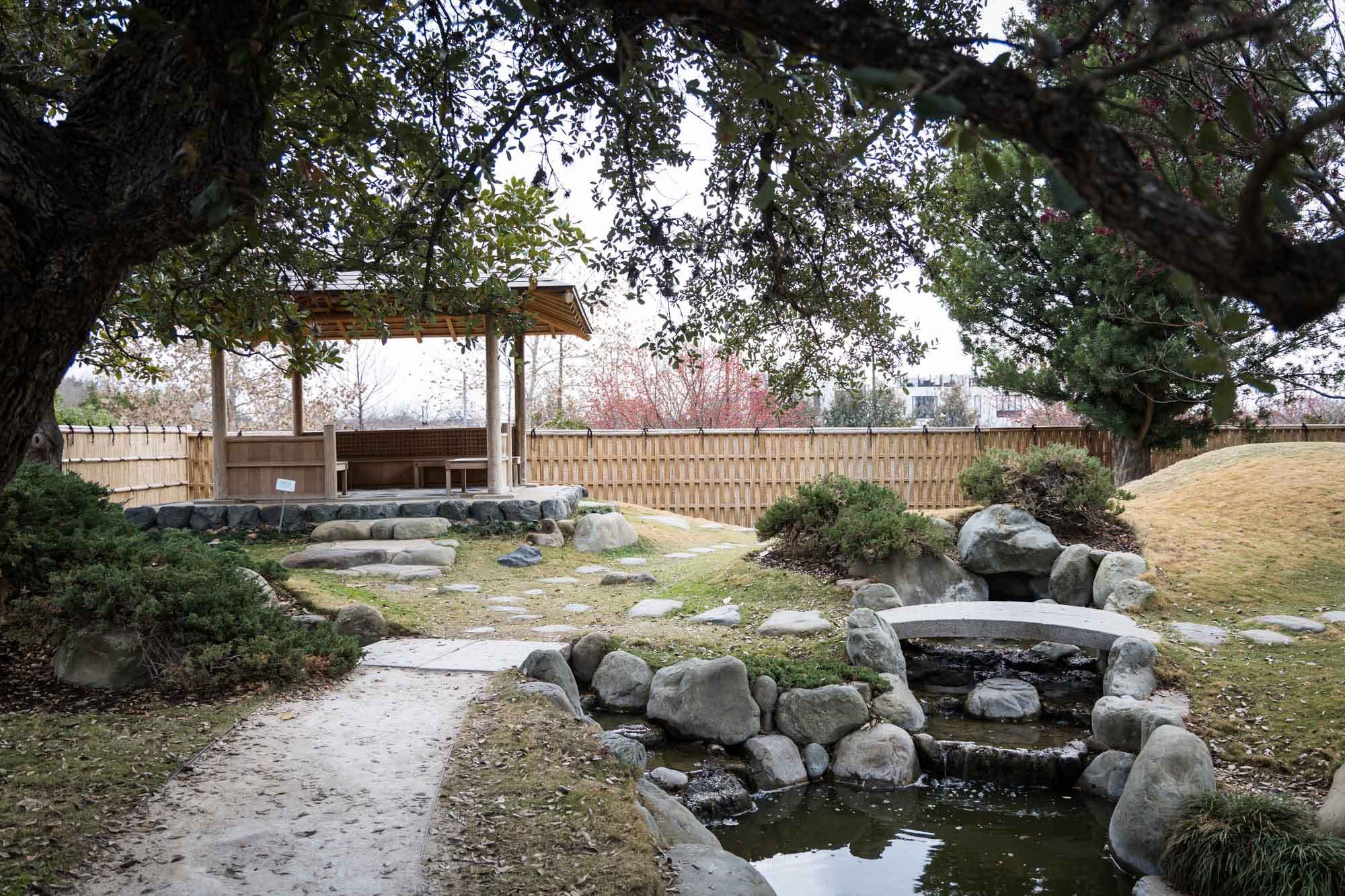 Kumamoto En Japanese Garden at the San Antonio Botanical Garden in February