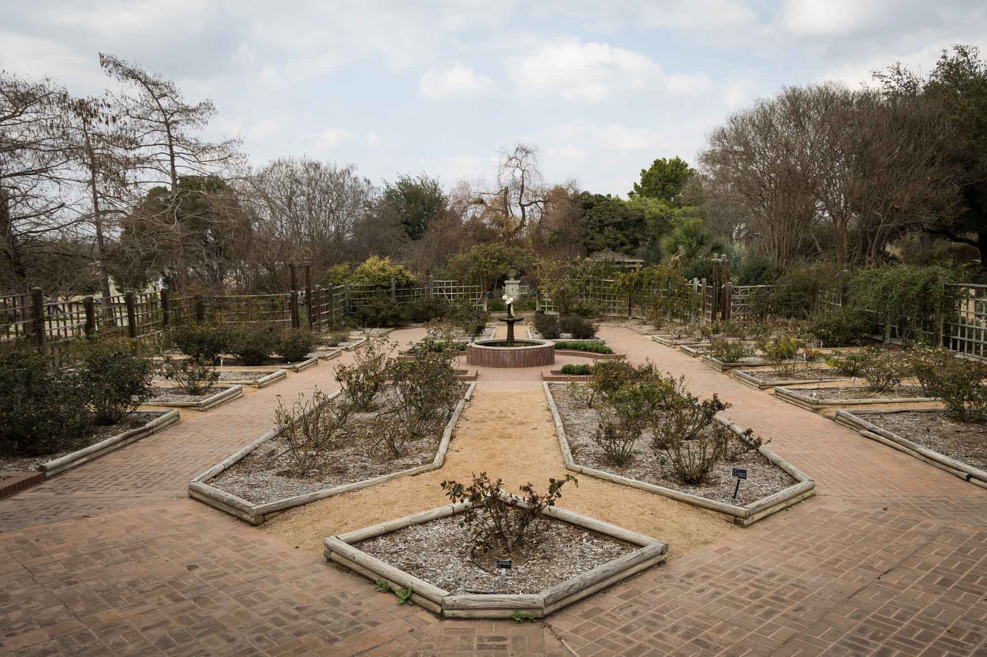 Rose Garden at the San Antonio Botanical Garden in February