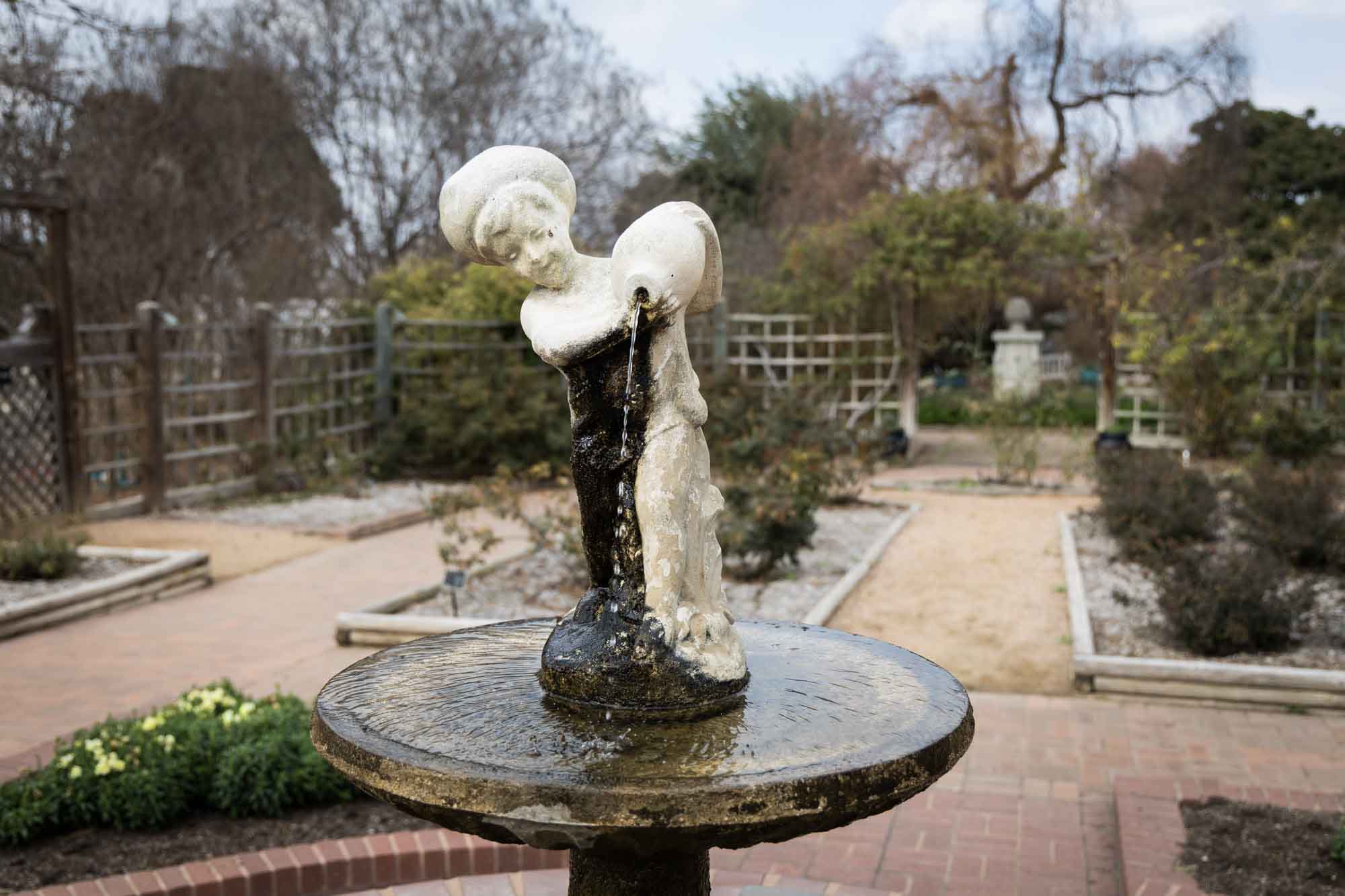 Fountain in the Rose Garden at the San Antonio Botanical Garden in February