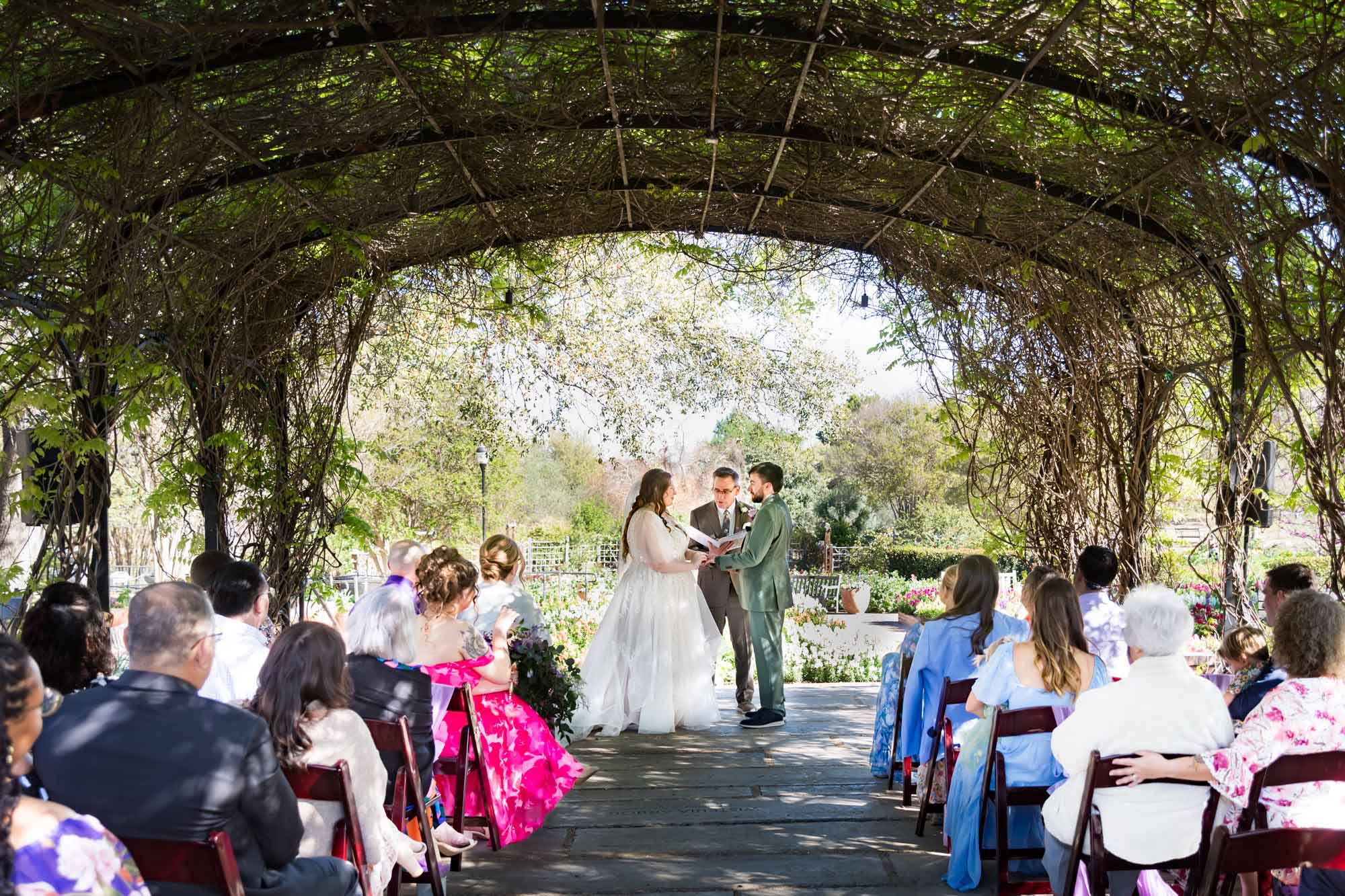 Bride and groom holding hands in front of officiant while seated guests watch under Wisteria Arbor during a San Antonio Botanical Garden wedding ceremony