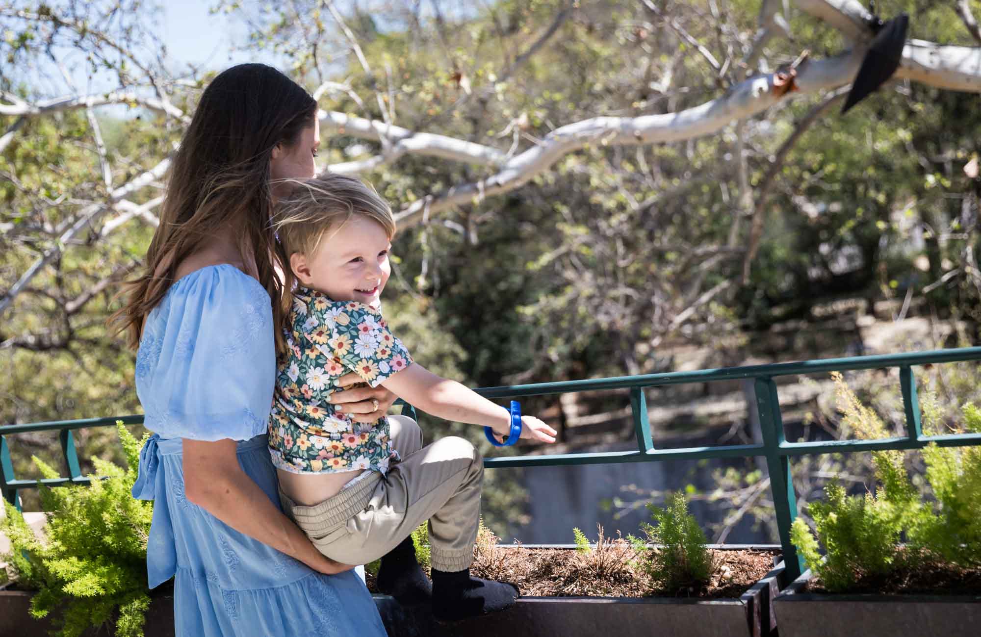 Woman wearing blue dress holding little boy on railing in front of tree during a Guenther House wedding reception