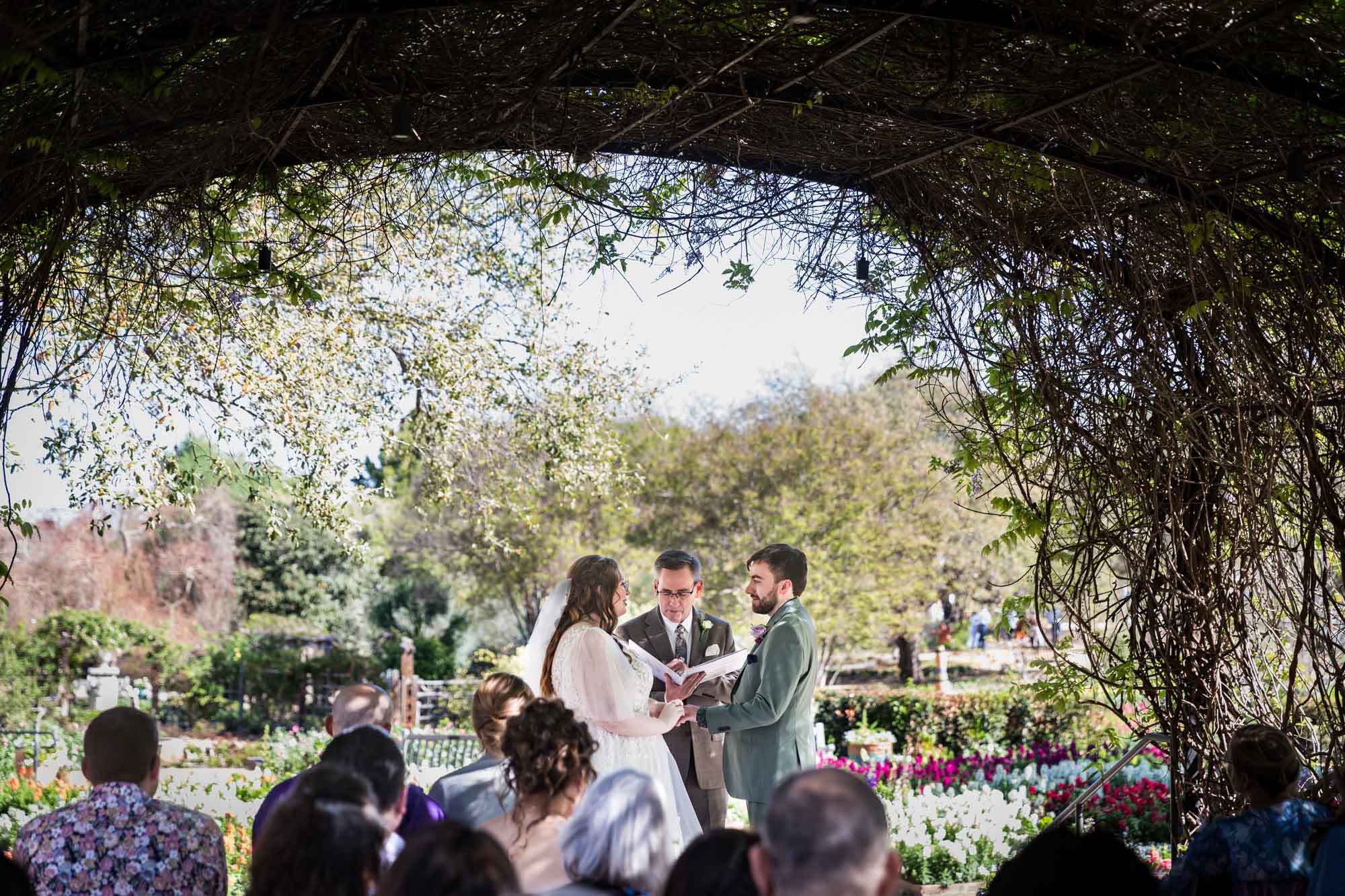 Bride and groom holding hands in front of officiant under Wisteria Arbor in front of seated guests during a San Antonio Botanical Garden wedding ceremony