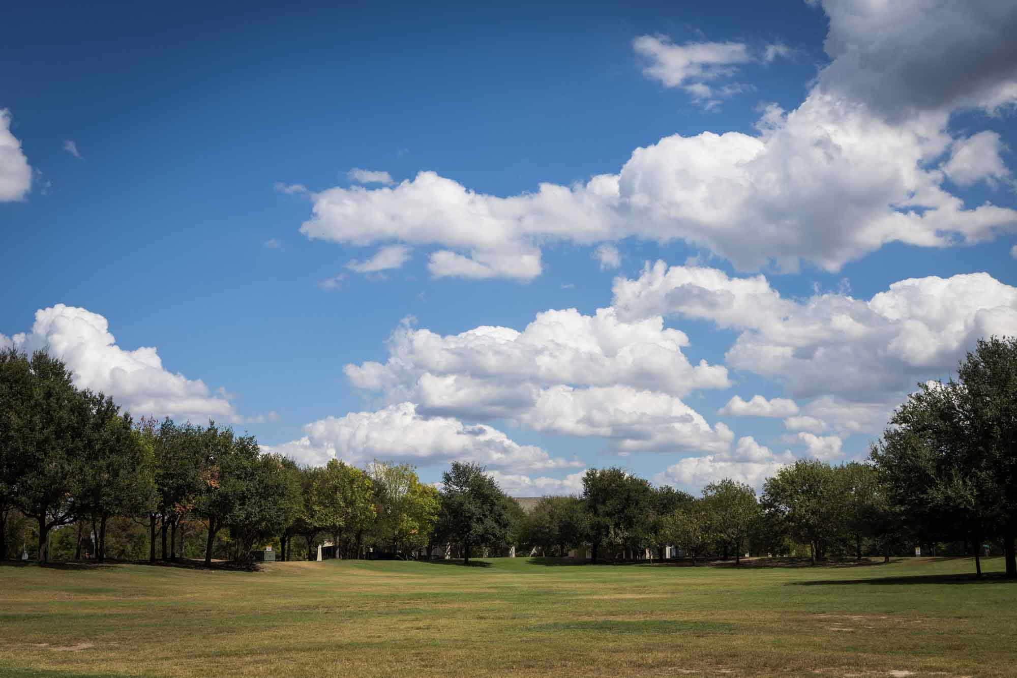 Grassy plain with blue sky surrounded by trees at Mueller Lake Park