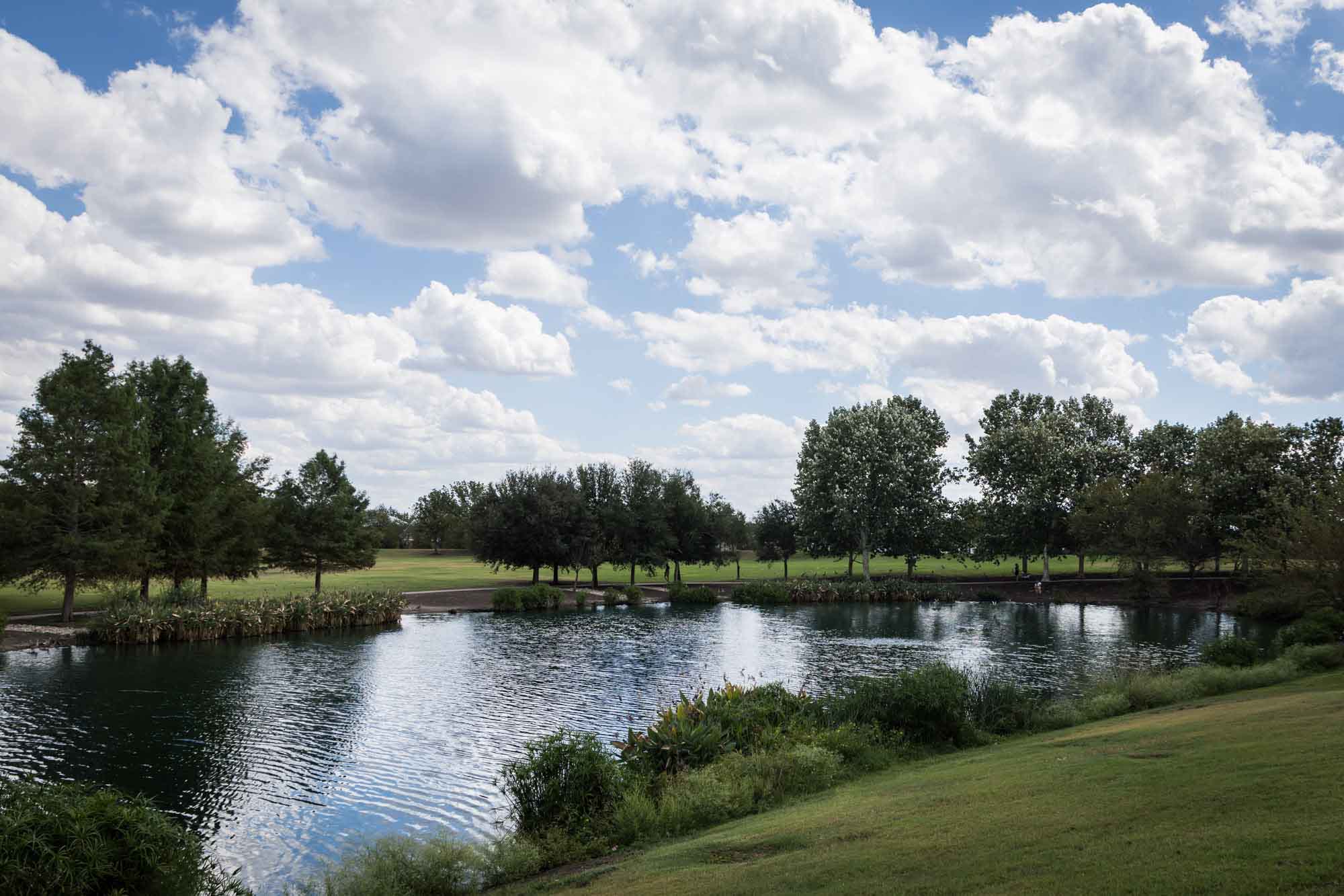 Lake surrounded by trees at Mueller Lake Park
