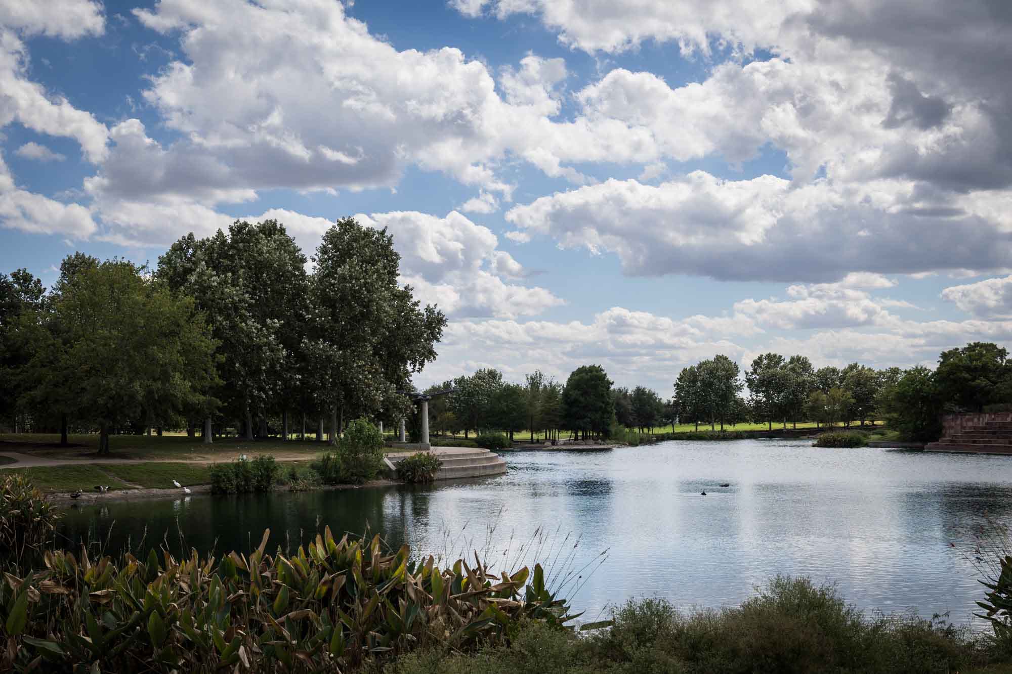 Lake surrounded by trees at Mueller Lake Park