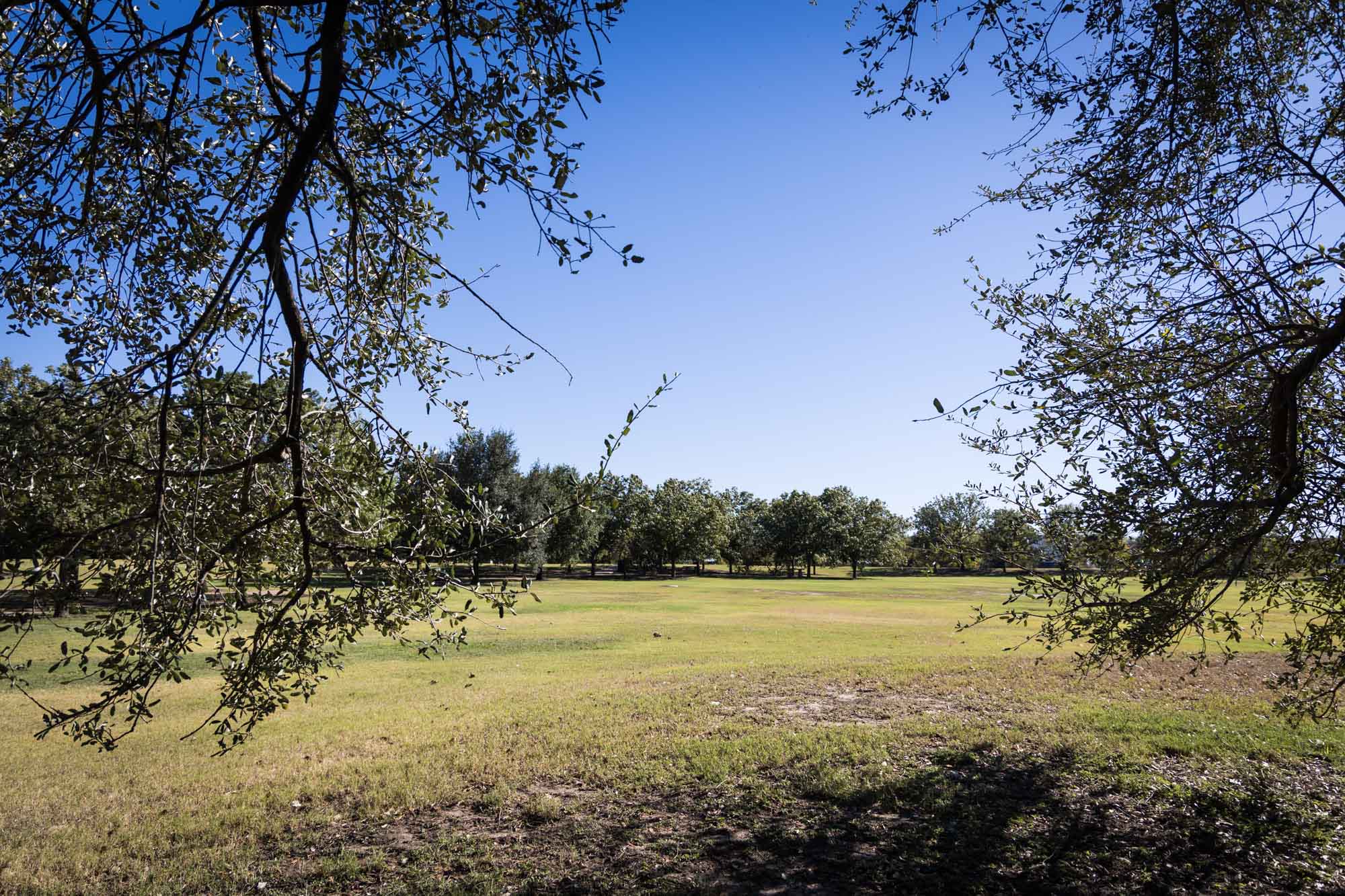 Grassy plain with blue sky surrounded by trees at Mueller Lake Park